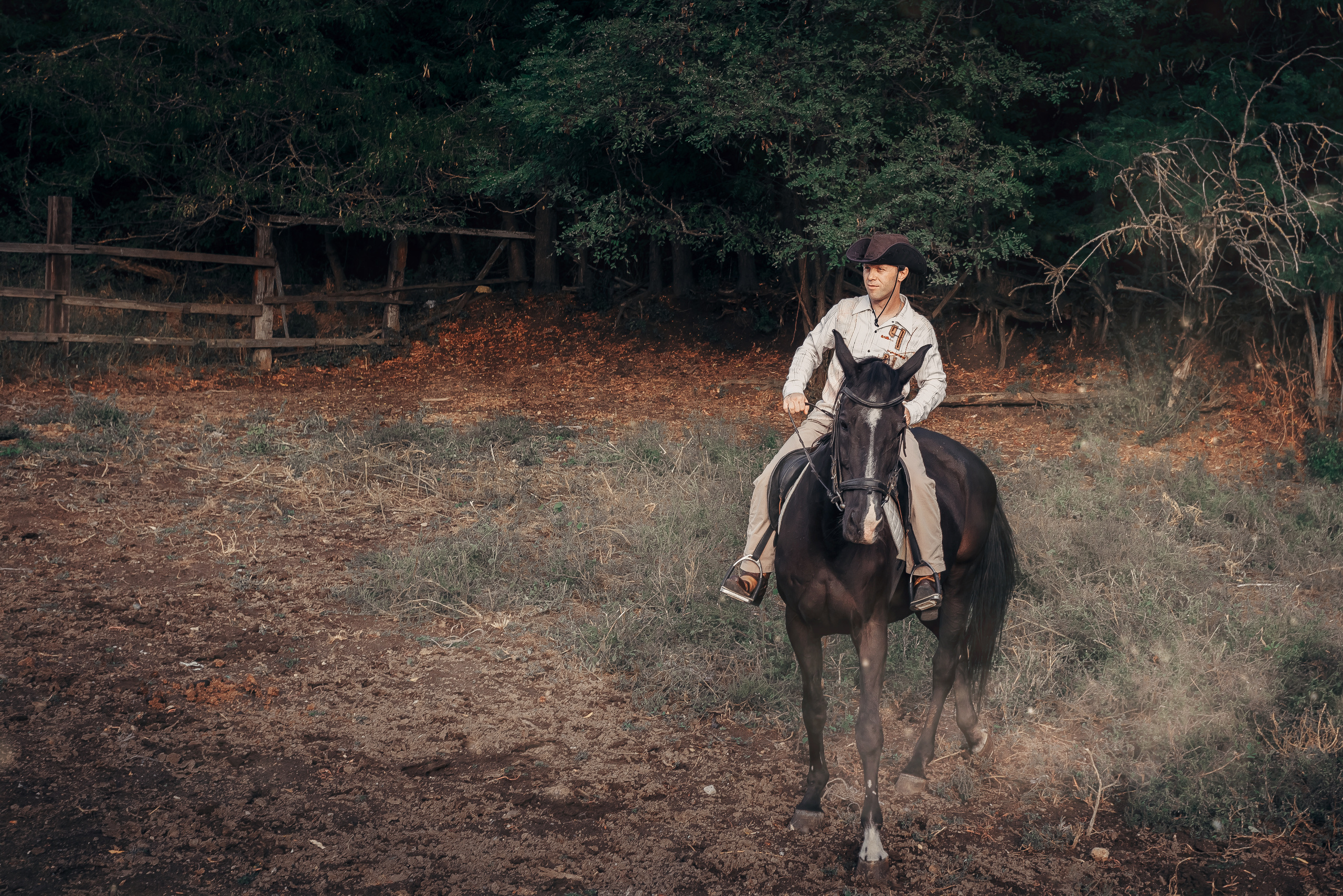 Андрей и Лиза. Свадебный фотограф в Краснодаре Николай Крауз