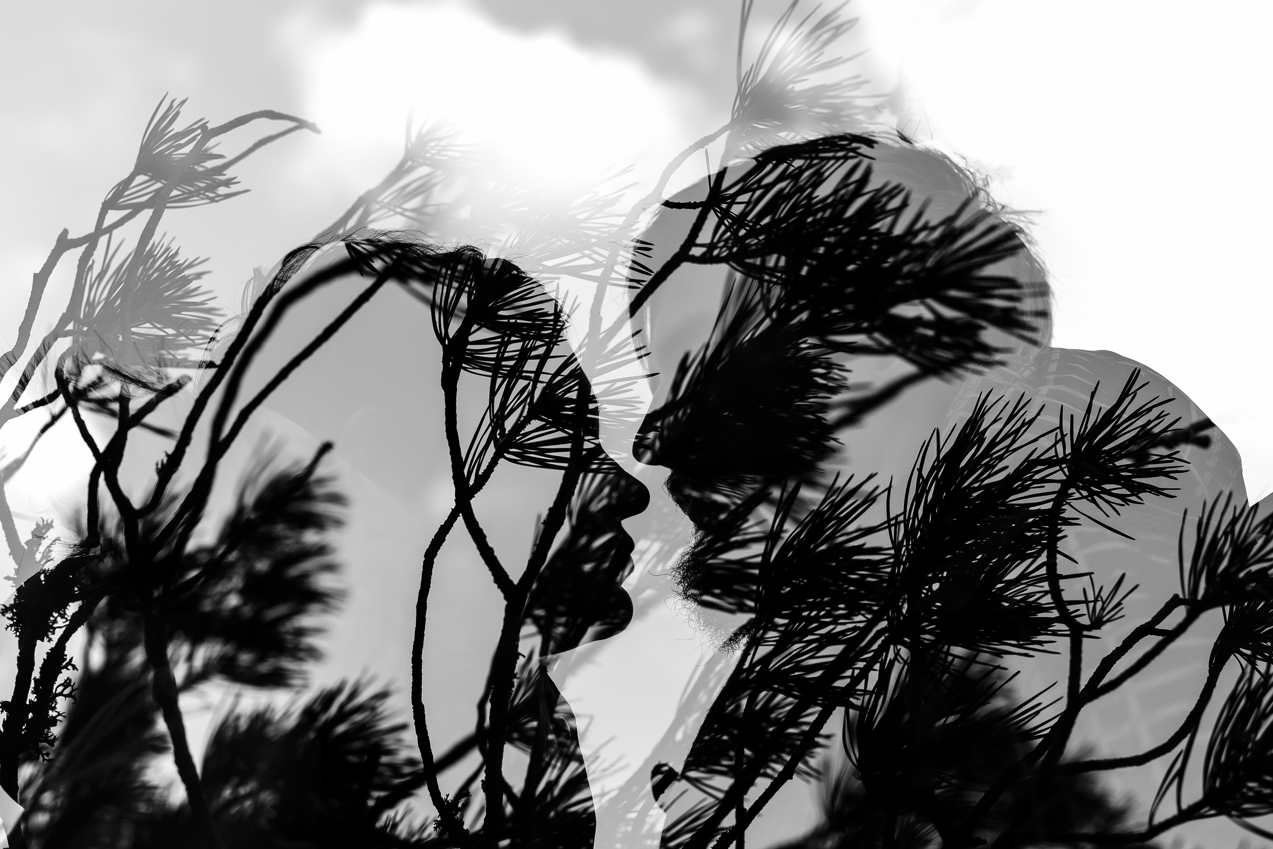 Саша и Алла. Свадебный фотограф в Краснодаре Николай Крауз