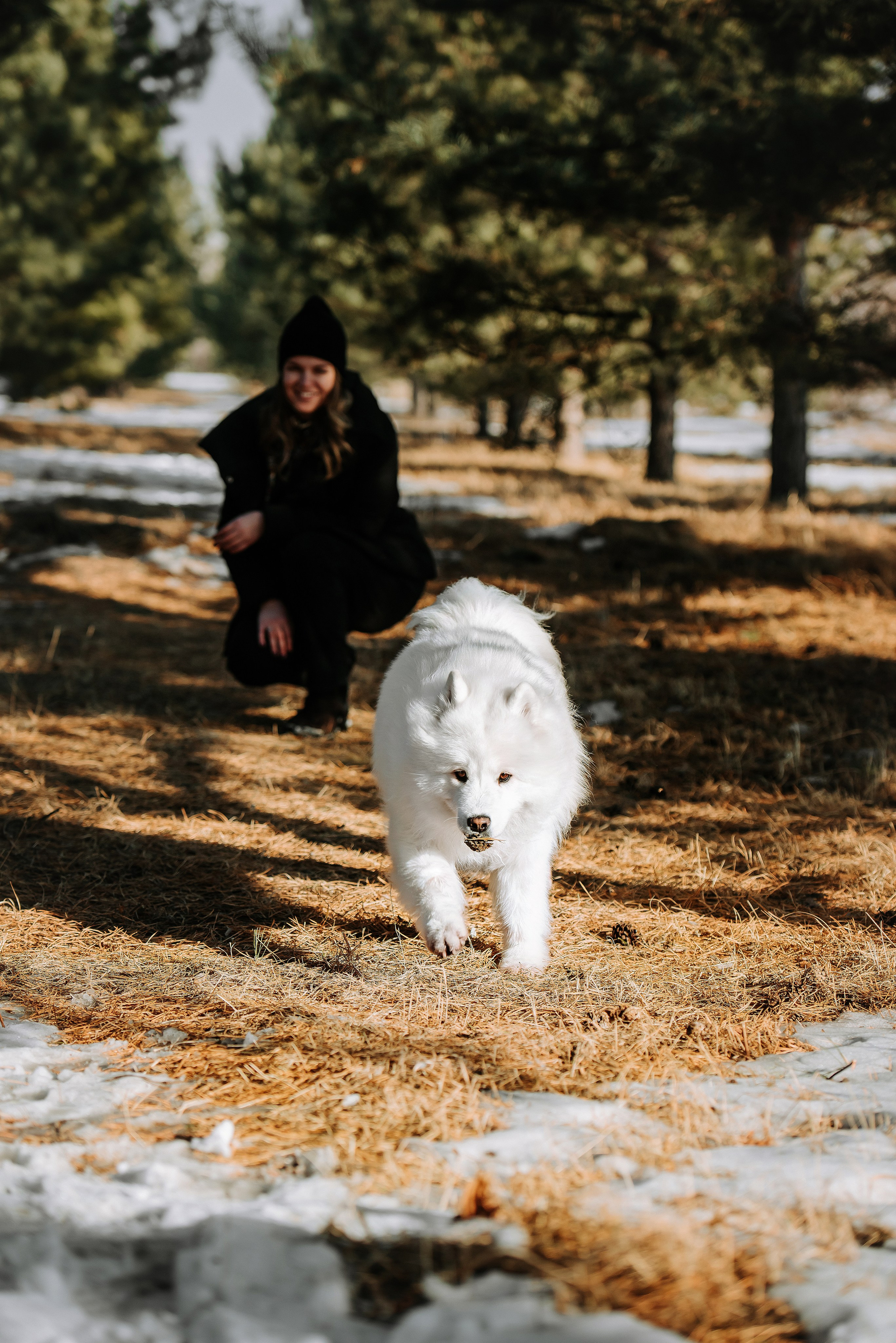 Фотопрогулка с питомцами. Фотограф Диана Оленина Красноярск / Братск