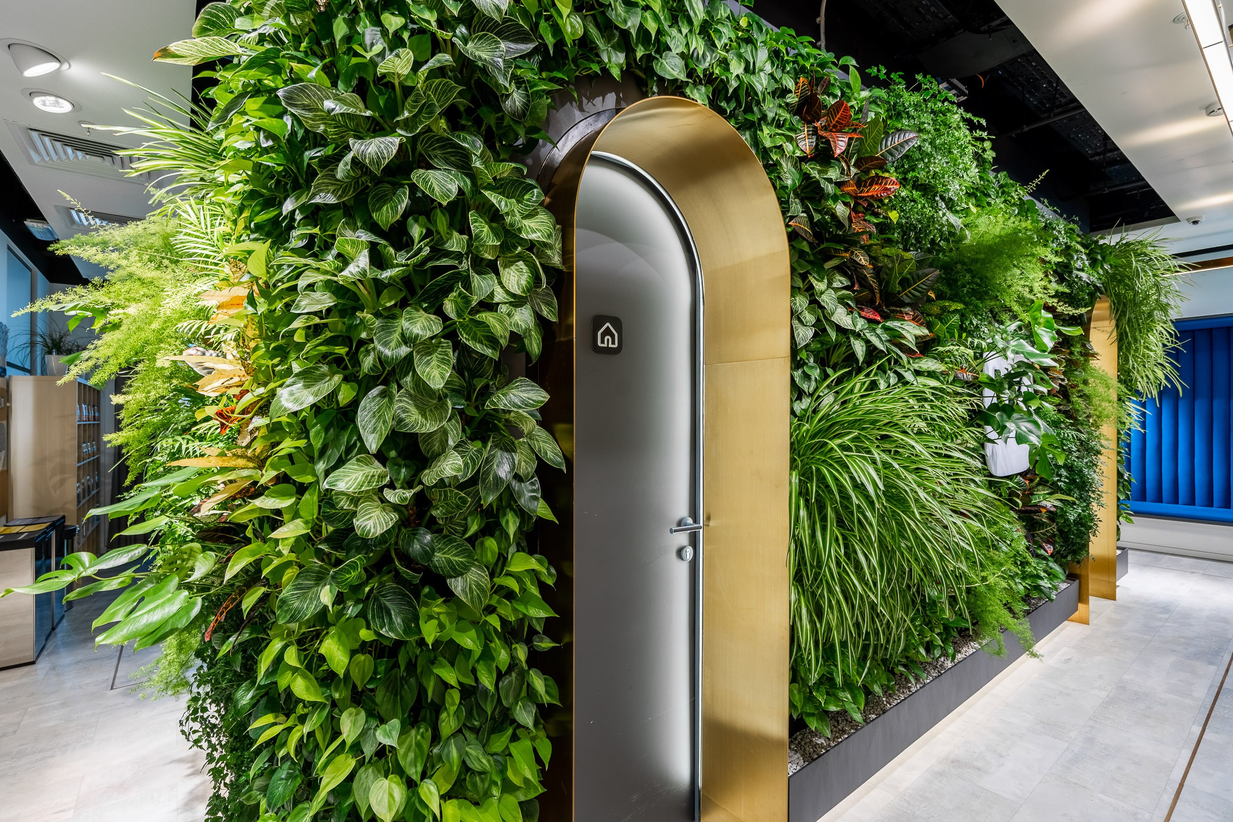 ВКонтакте. Интерьерный фотограф Мария Моисеева