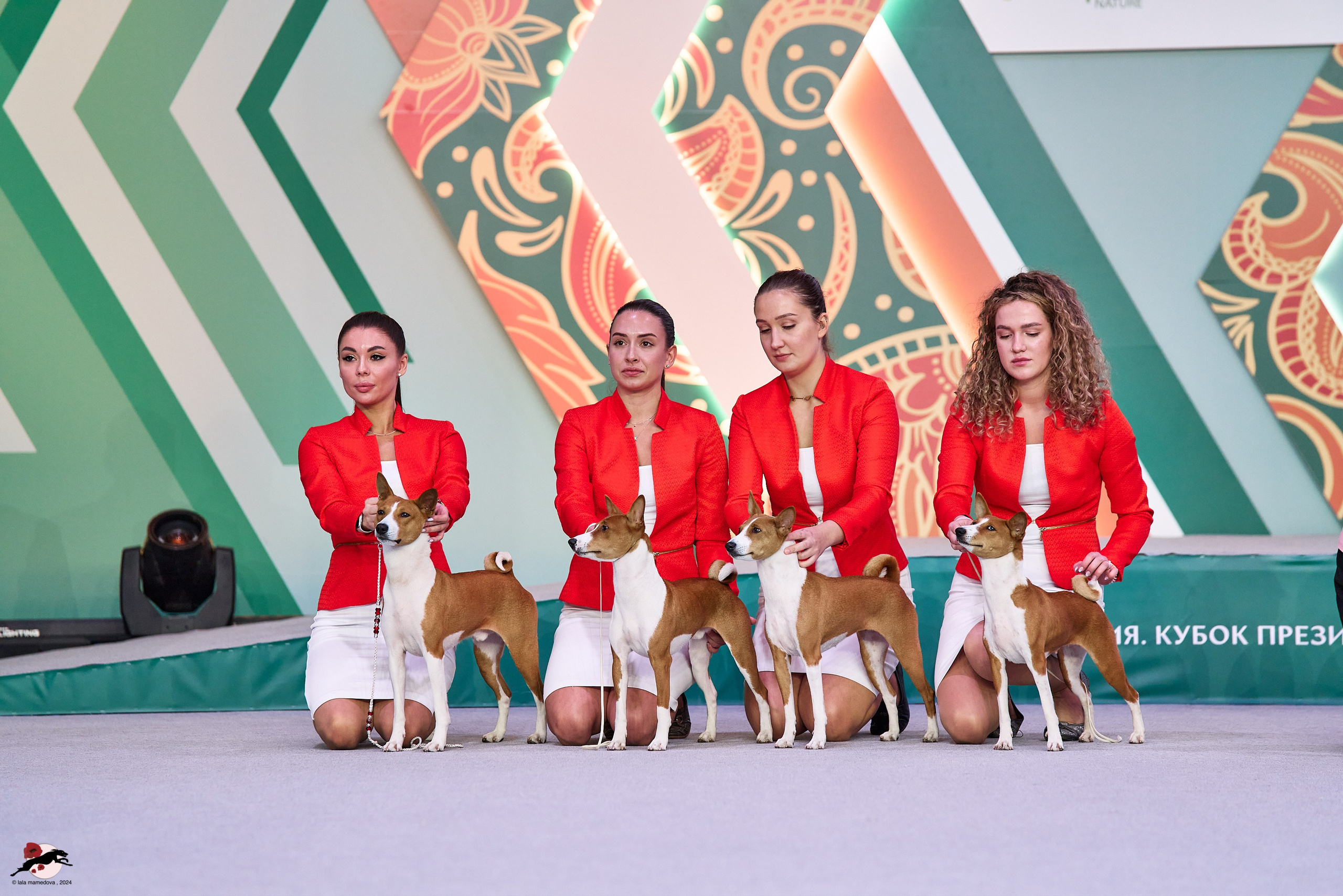 17.11.2024 «ЕВРАЗИЯ. КУБОК СНГ 2024»