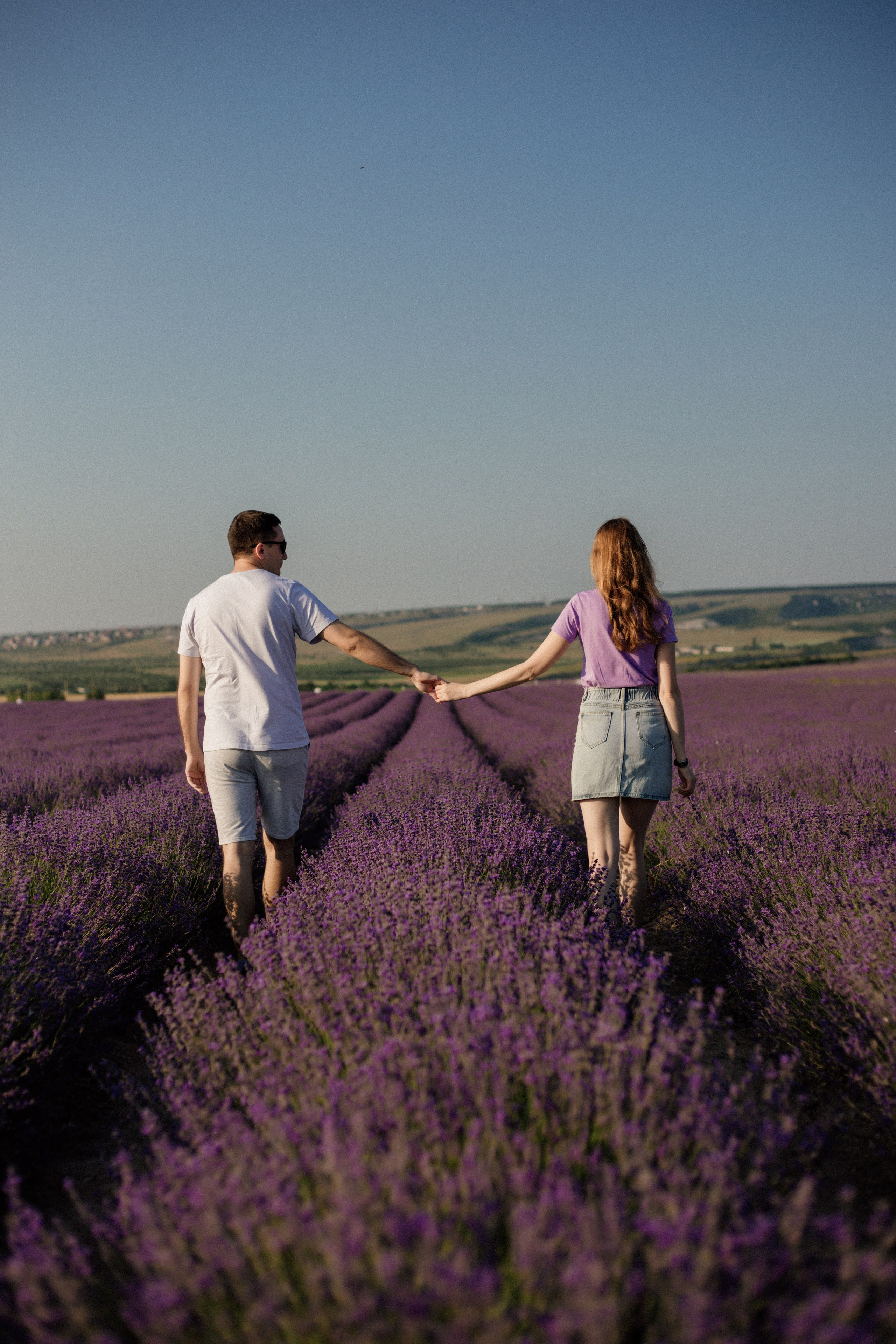 Лаванда. Фотограф и Видеограф Севастополь Крым