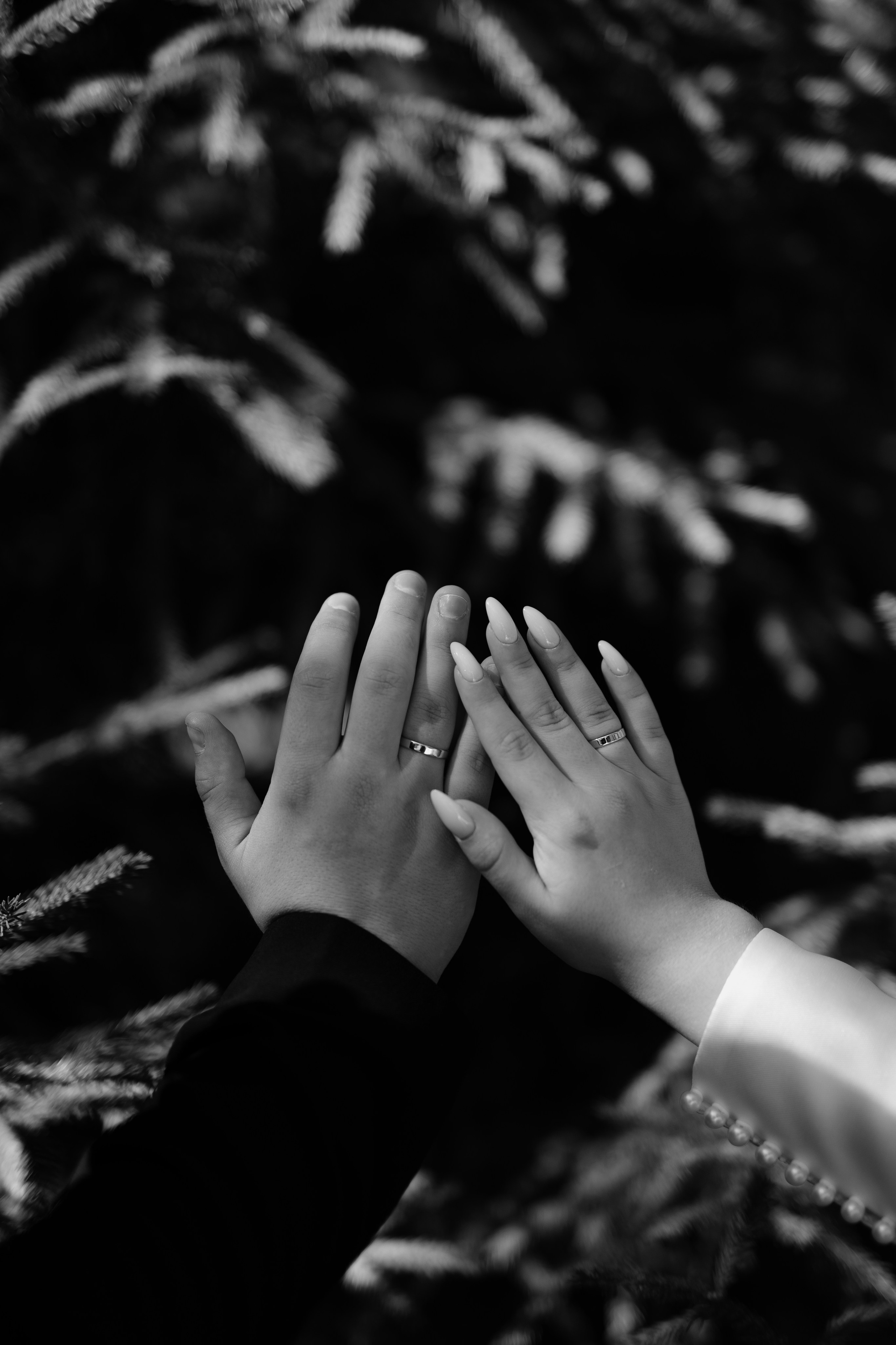 Свадьба Вадима и Дарьи. Фотограф Кольчугино/Владимир/Москва Елизавета Иода