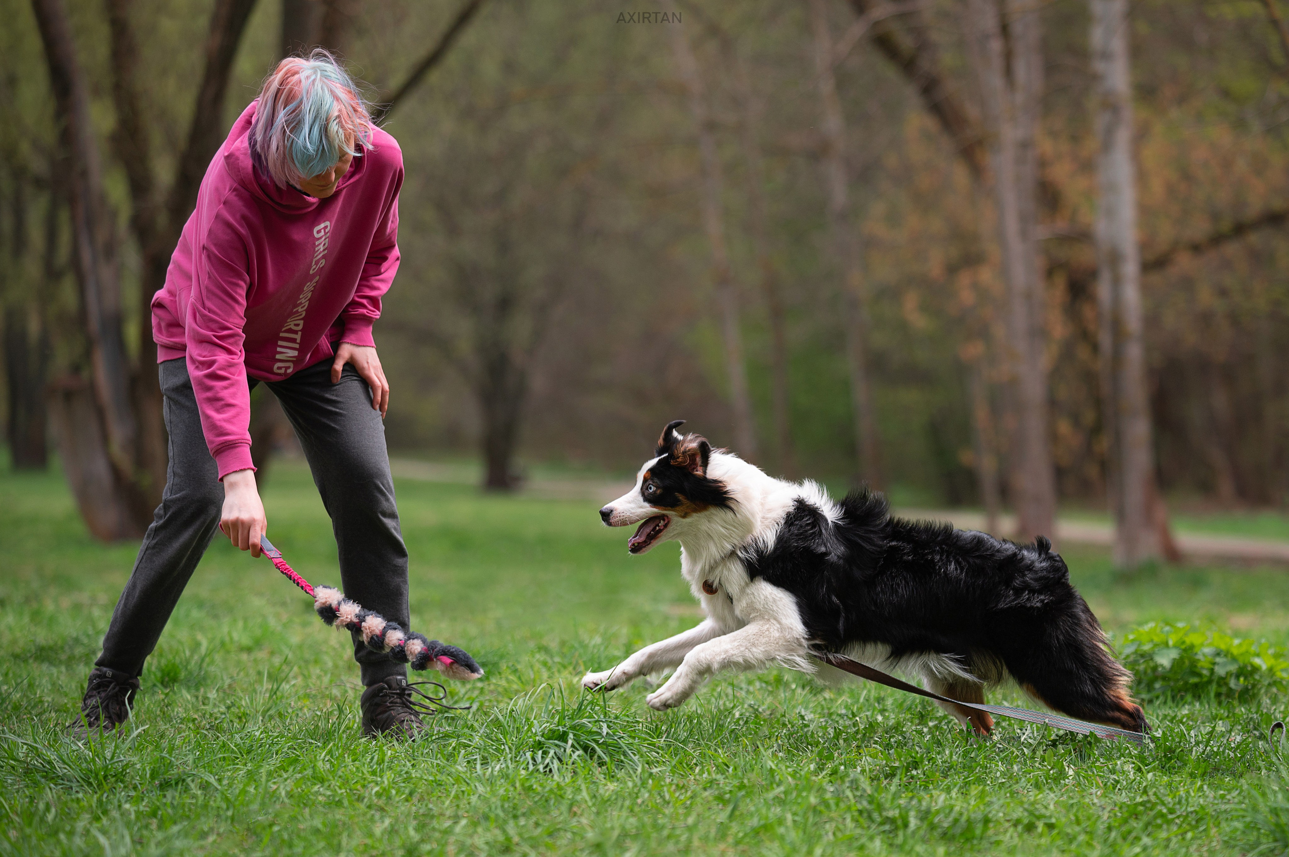 Синдра. BLGKV питомник собак