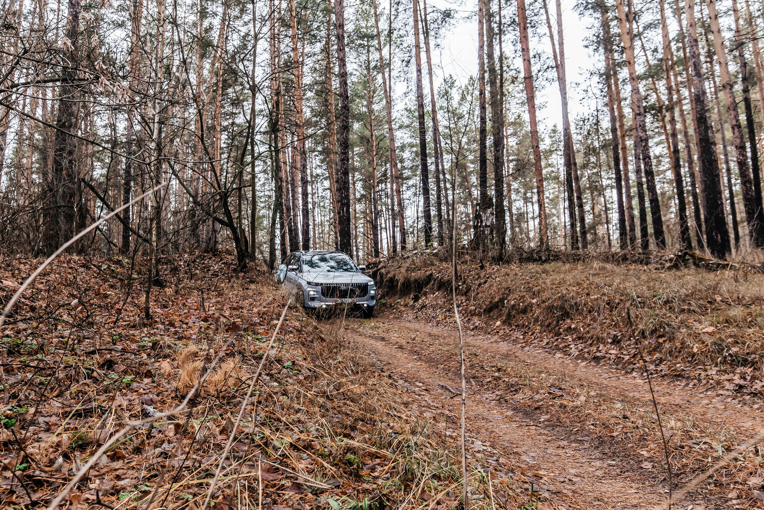 Jaecoo J7 3.0. Фотограф в Самаре / Олеся Широнина