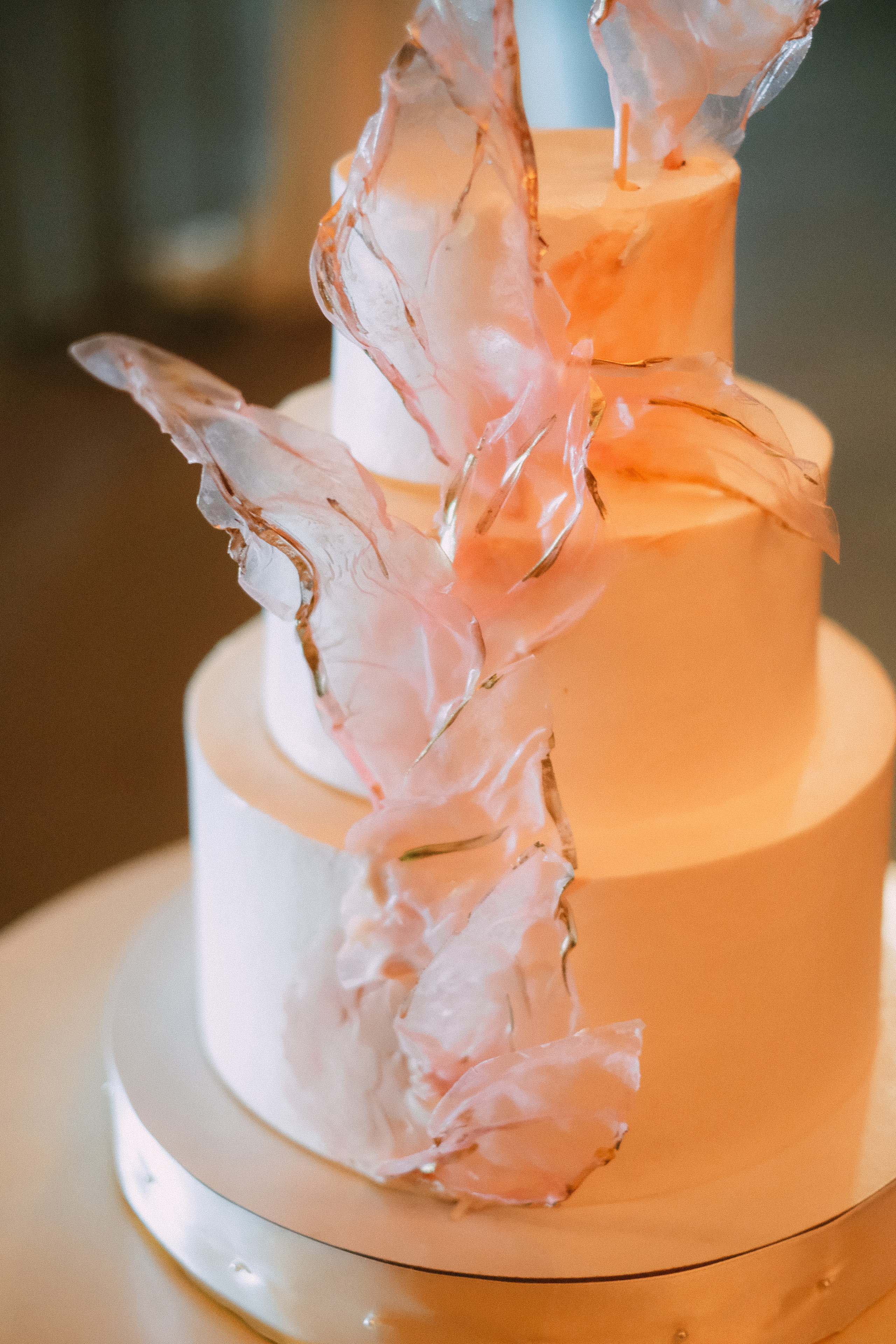 Дима+Арина банкет. Андрющенко Мария фотограф Волгоград