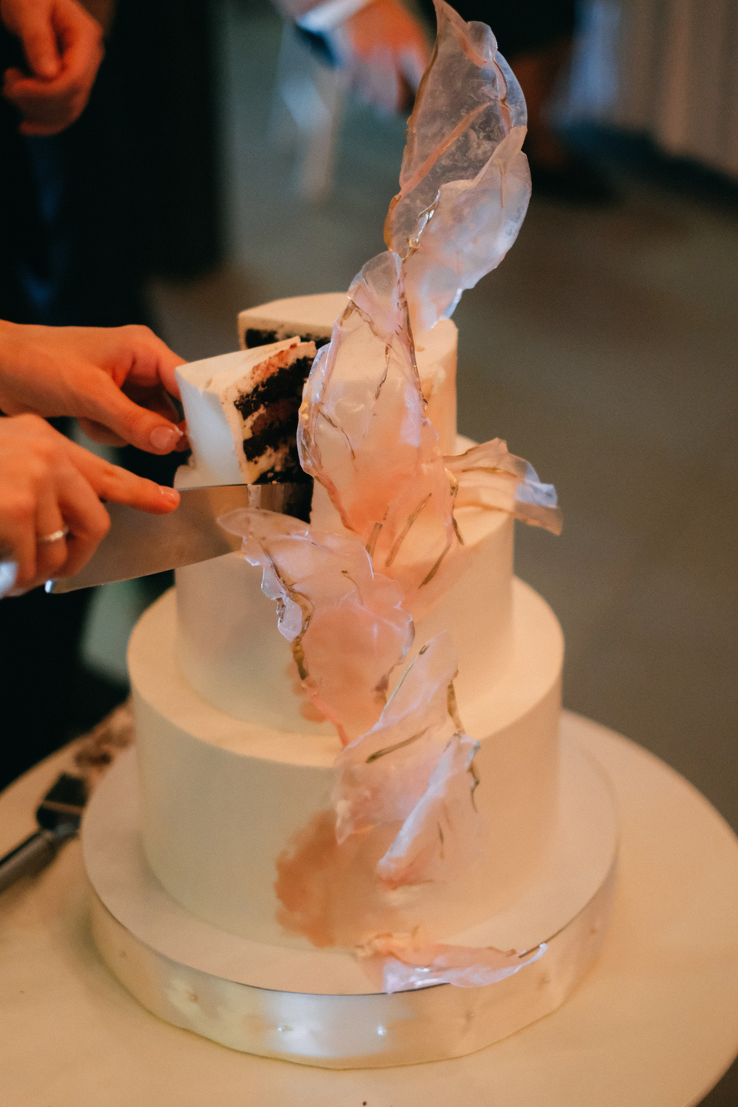 Дима+Арина банкет. Андрющенко Мария фотограф Волгоград