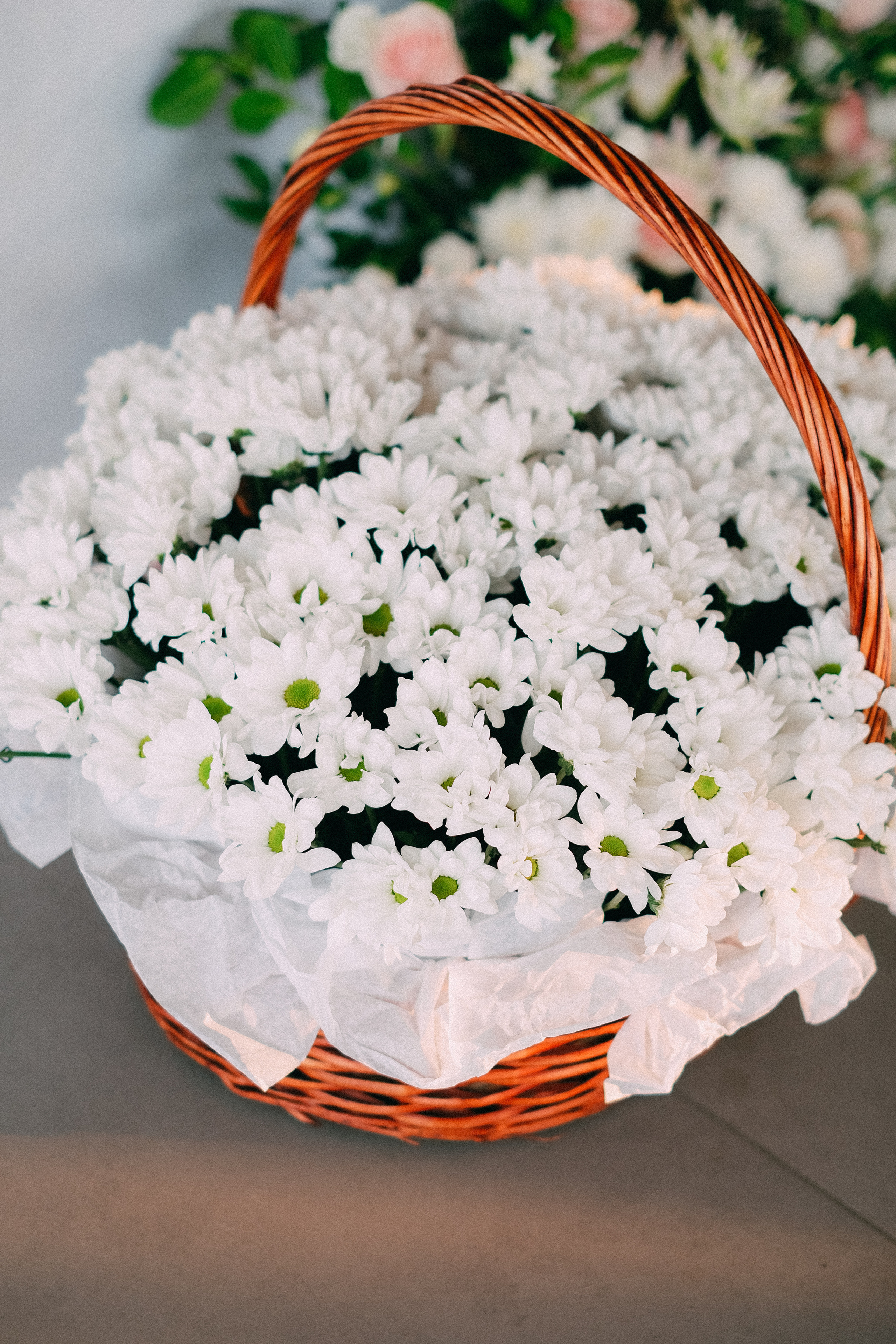 Дима+Арина банкет. Андрющенко Мария фотограф Волгоград