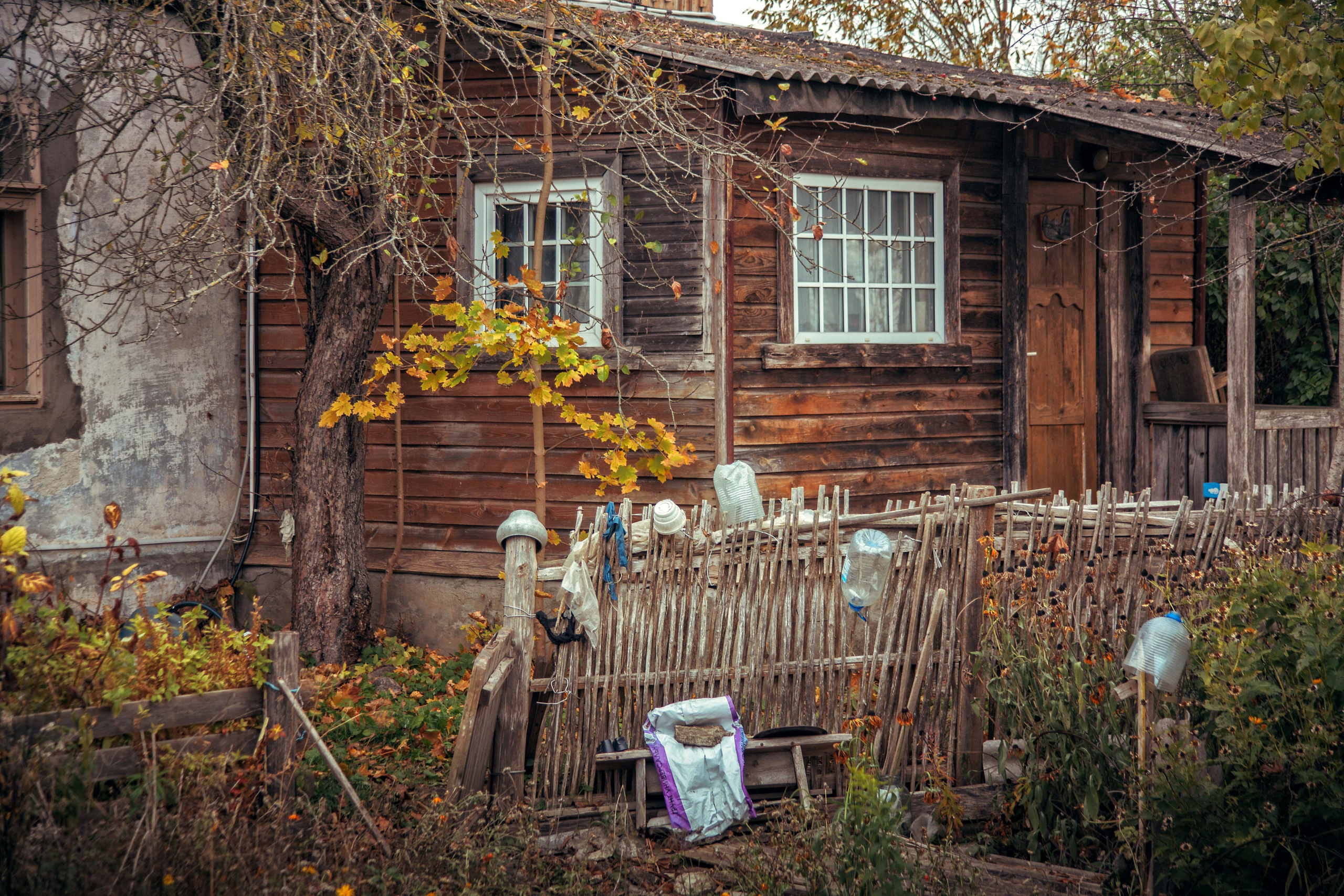 Изборск. Семейный и детский фотограф в Москве Ольга Кривенцова