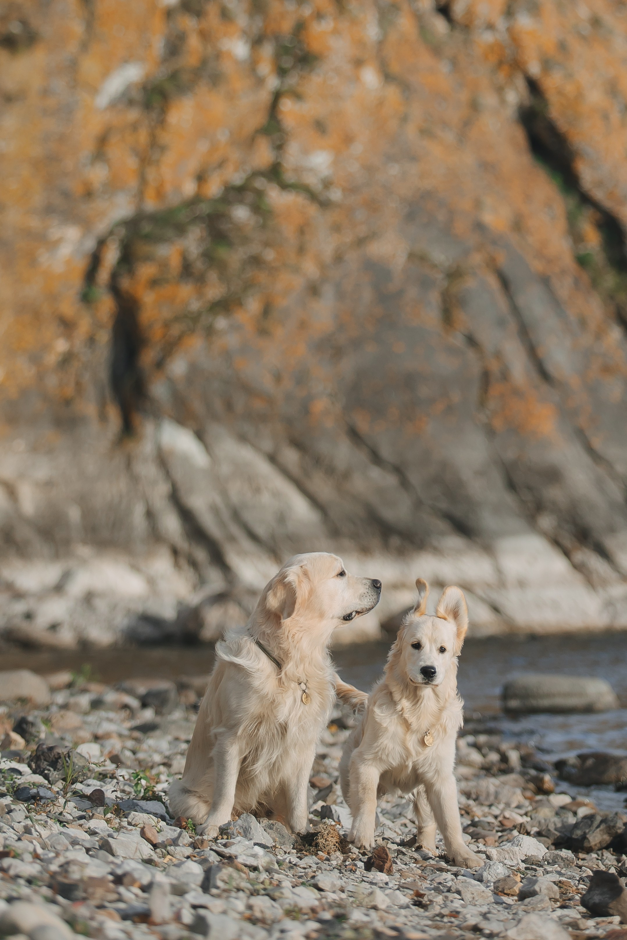 Снежик и Веста. Свадебный и женский фотограф