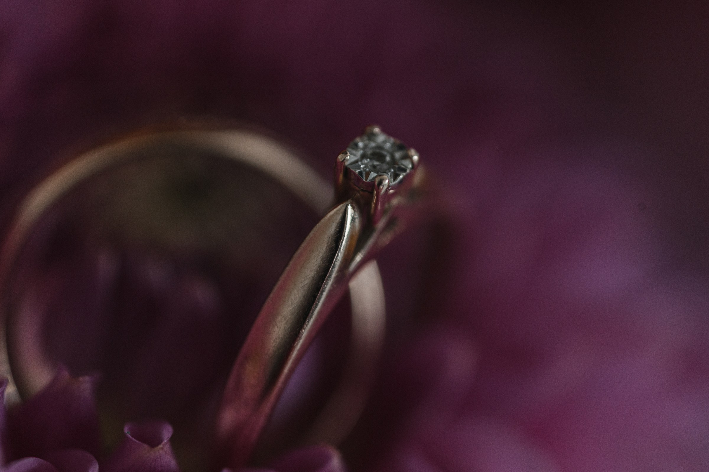 Luka + Lisa. Антон Айрис | Anton Iris — стильно сниму твою свадьбу и депрессию