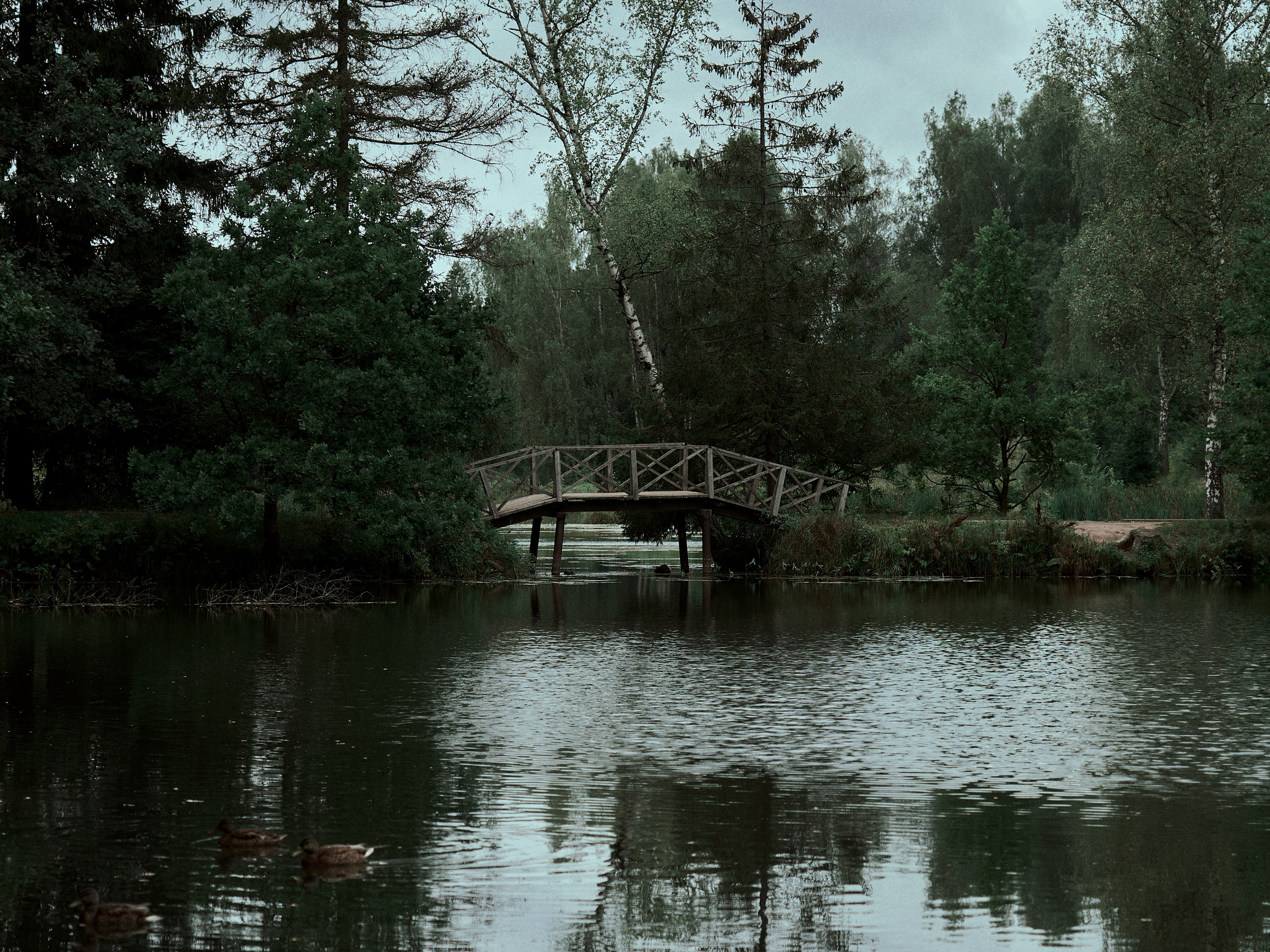 Street. Портретный фотограф в Москве