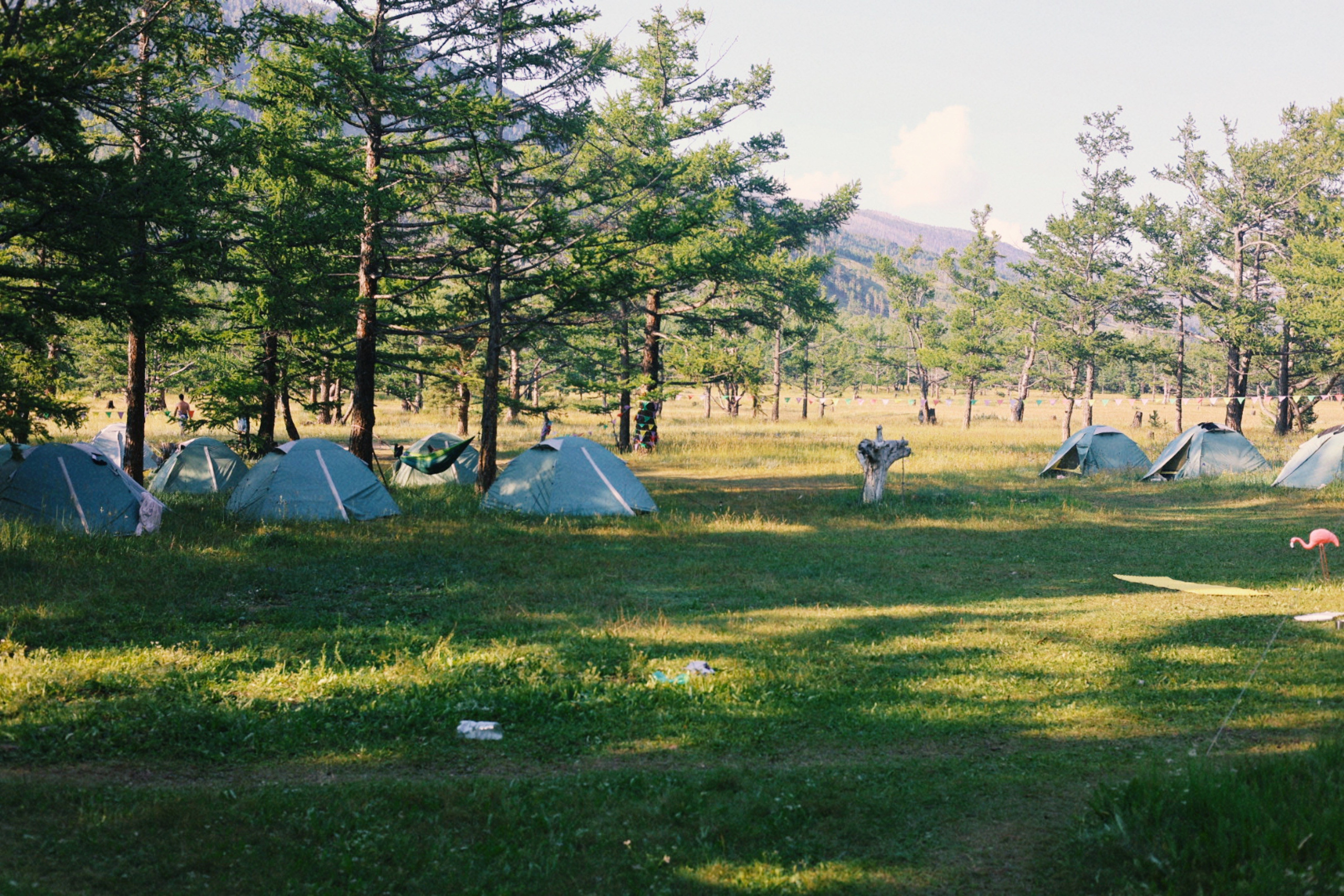 1642 camp | 1–8 августа 2026 | палатки. Фотограф Нижний Новгород