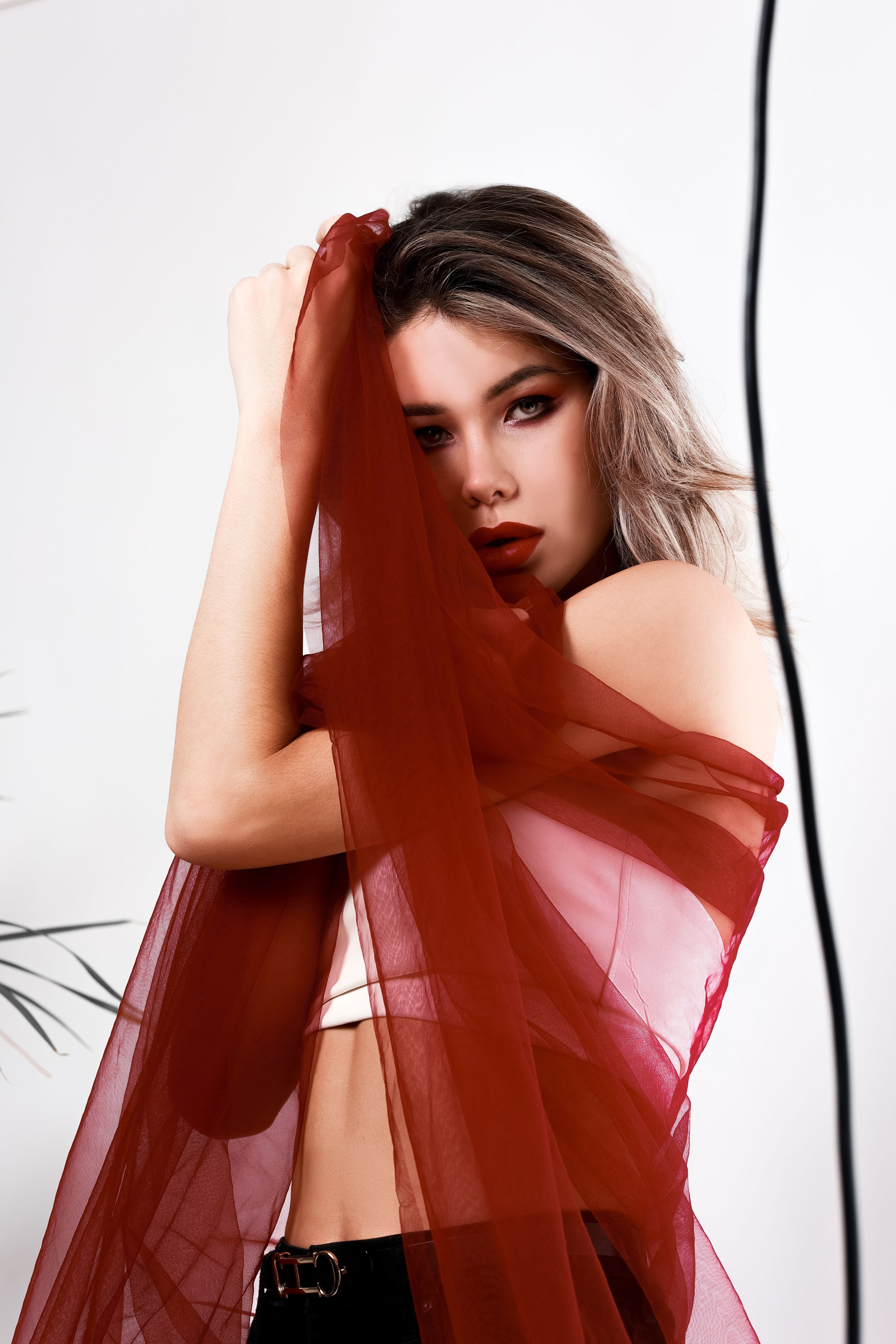 Isabella. Photografer