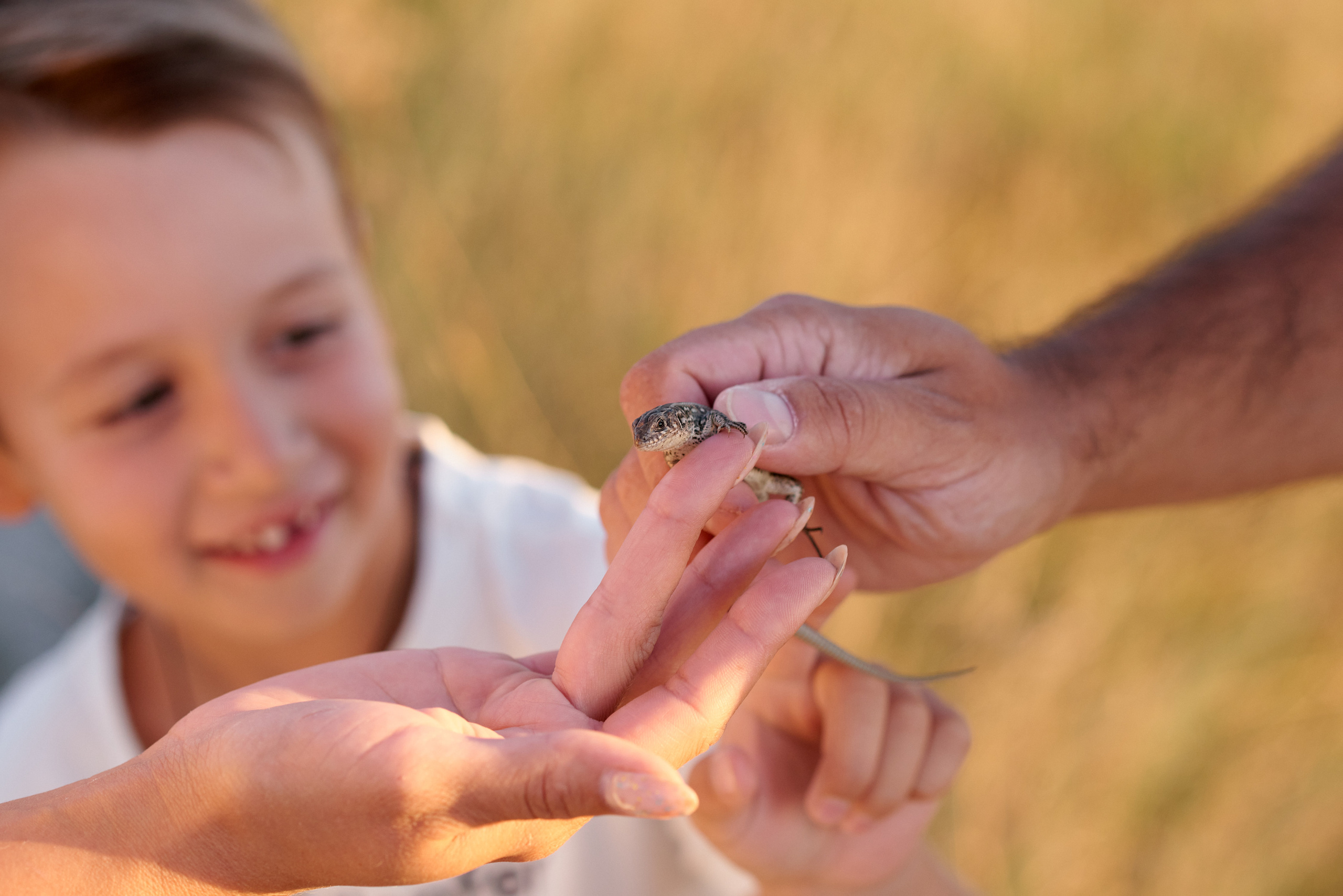 Папа рядом, мама рядом, что ещё для счастья надо!. Свадебный, семейный, детский фотограф в Острогожске Татьяна Волошина