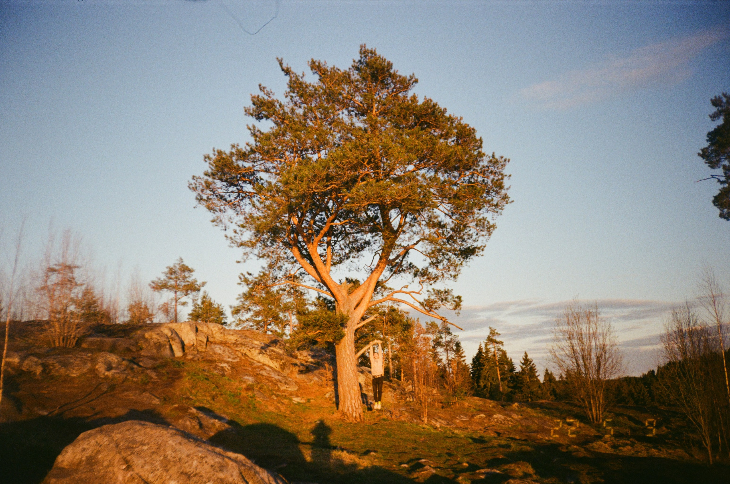 Прайс-лист на услуги. NECULTURED PHOTOGRAPHER
