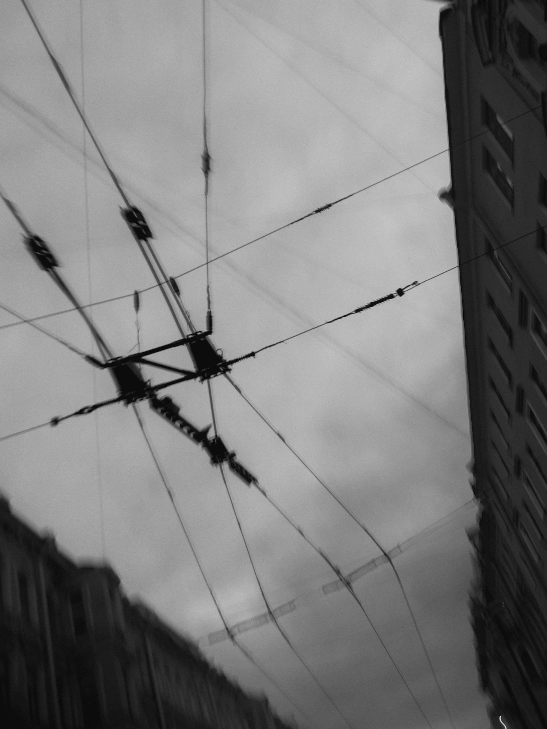 Шмитов Егор