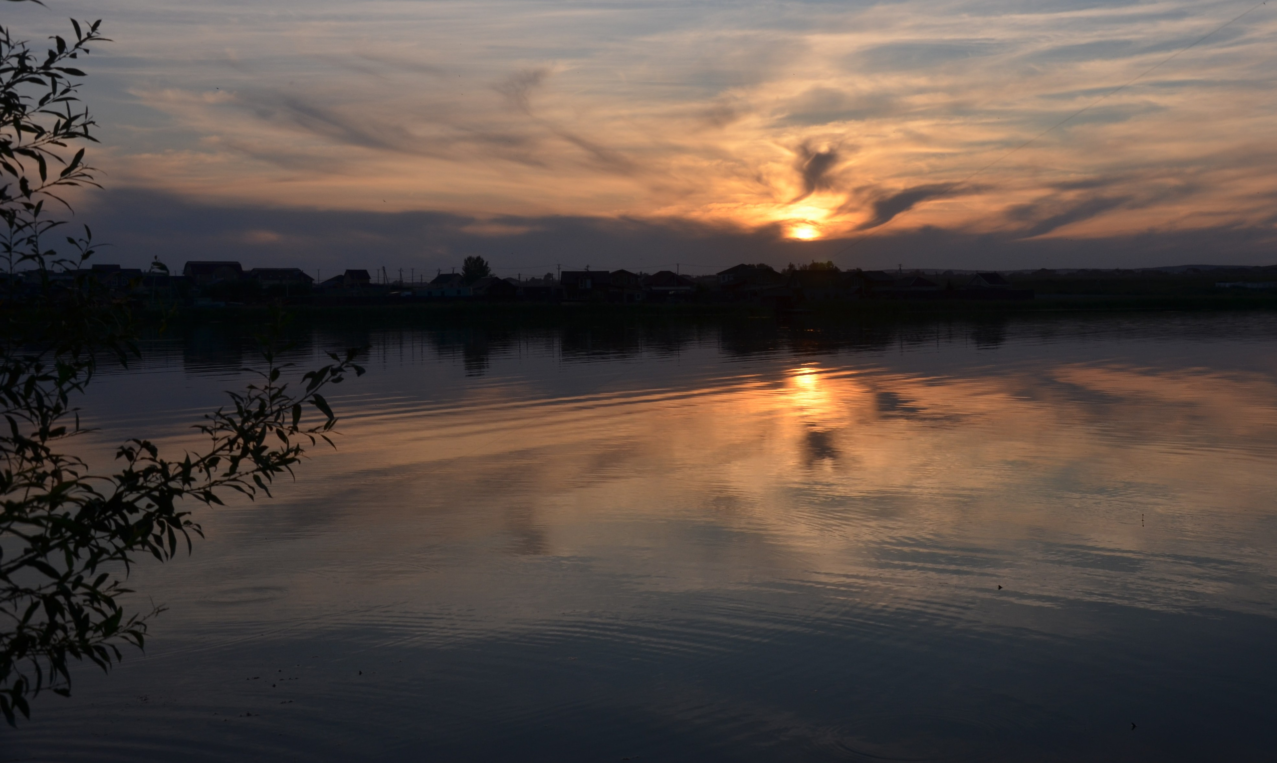 Дары природы. Фотограф viktor viktor