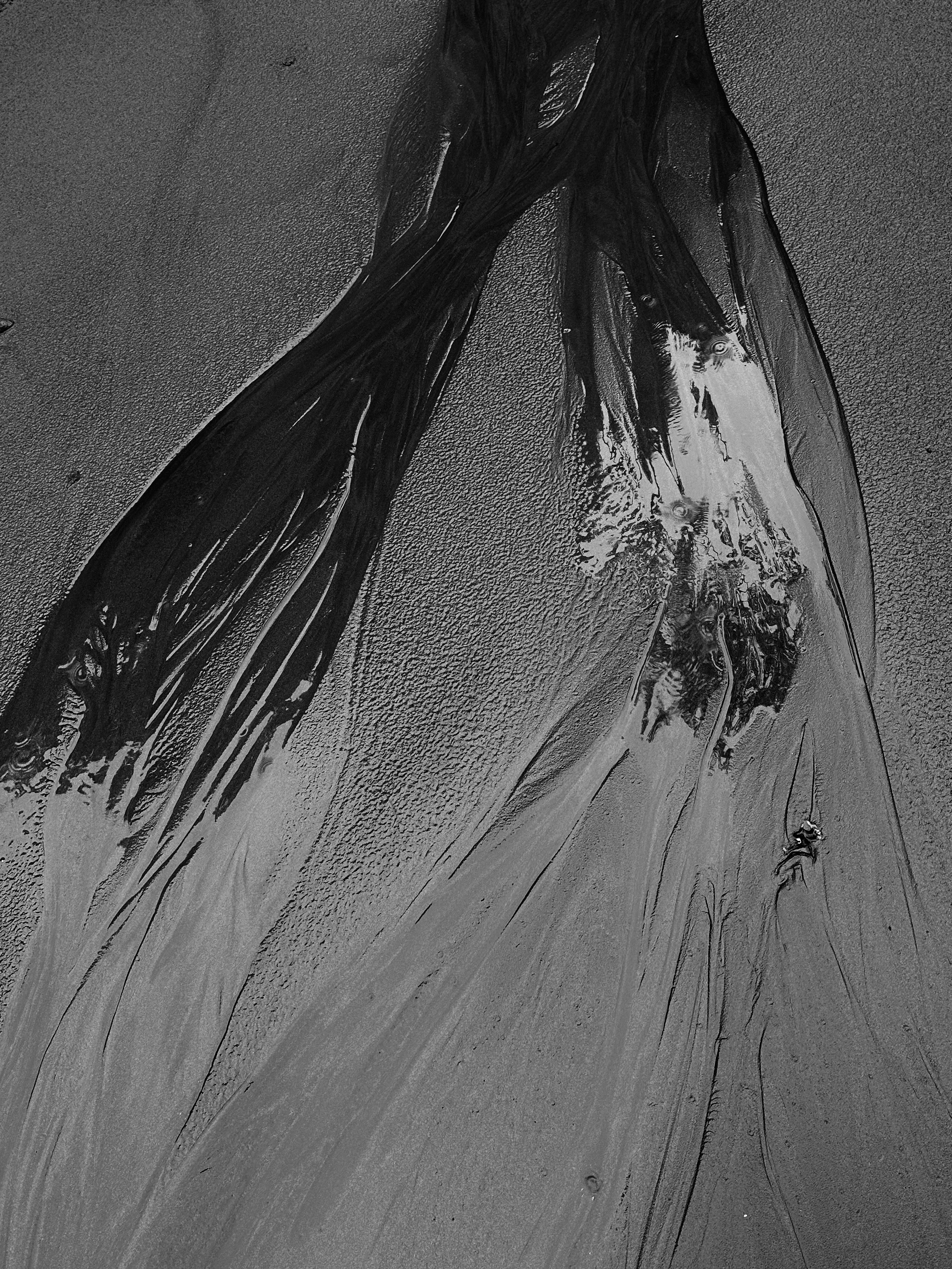 EXHIBITION. Репортажный и интерьерный фотограф, фотохудожник