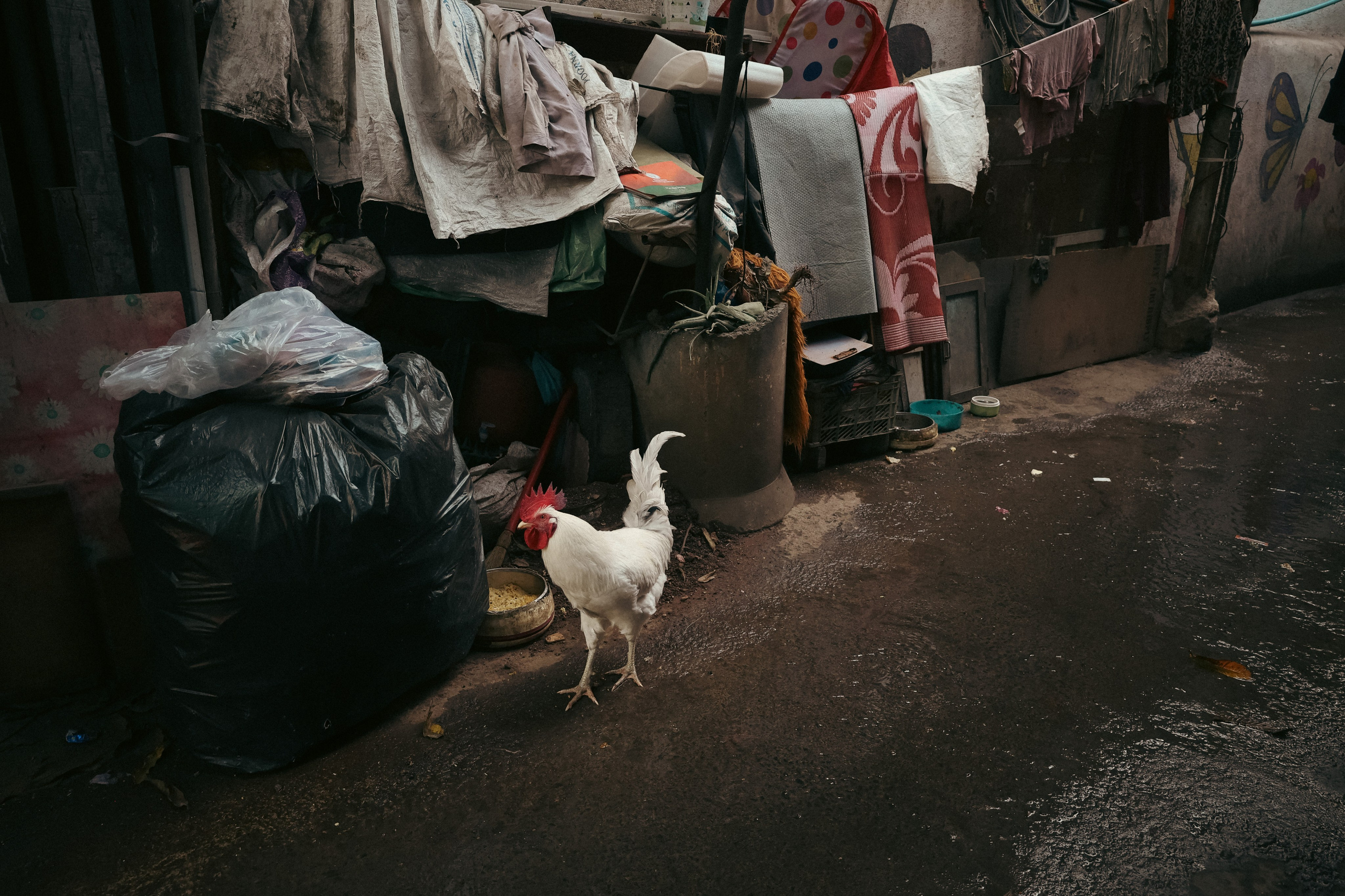 India. Фотограф в Москве