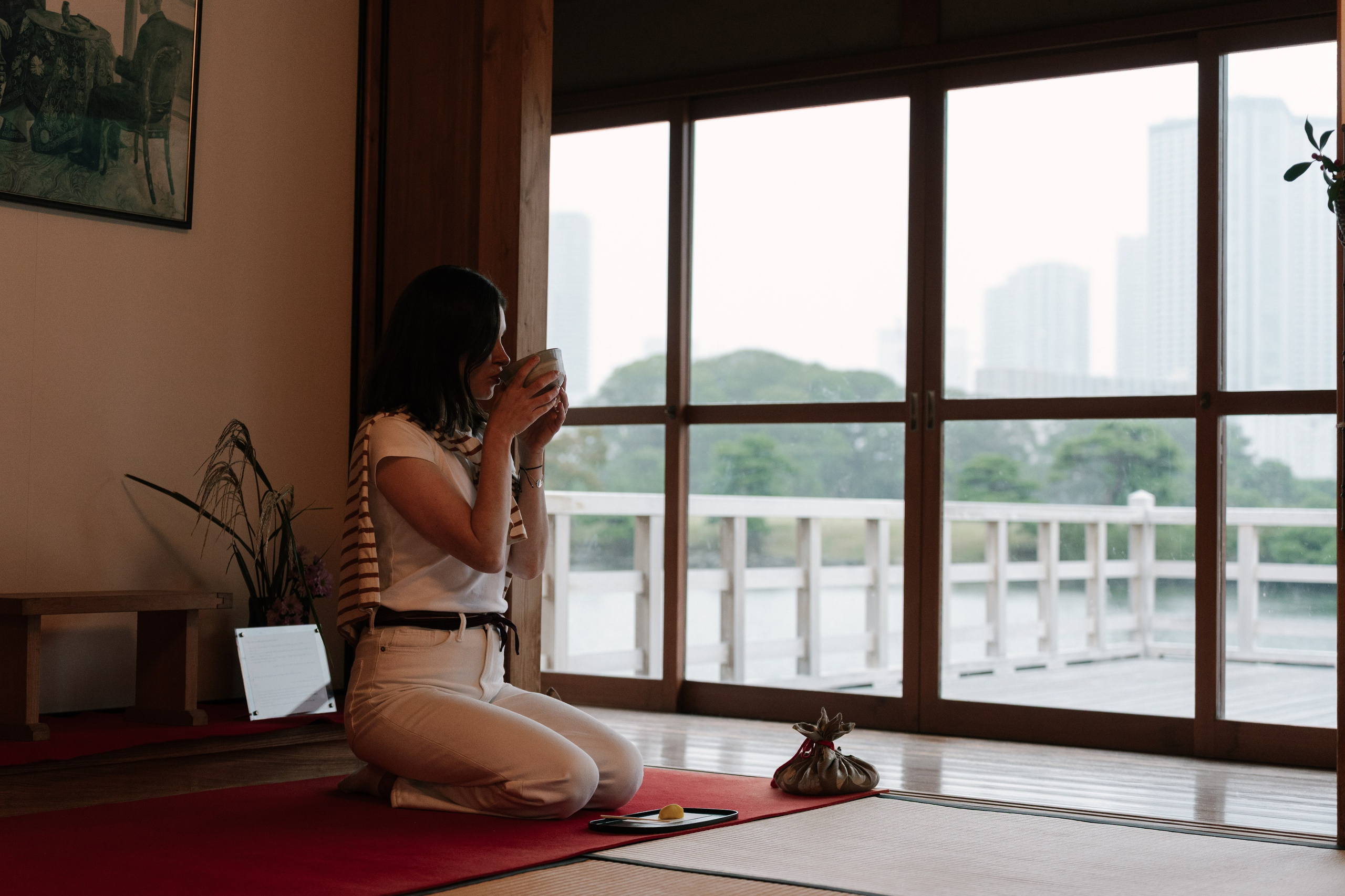 Японский сад и чайный домик. Фотограф Алина Диева Москва | Токио