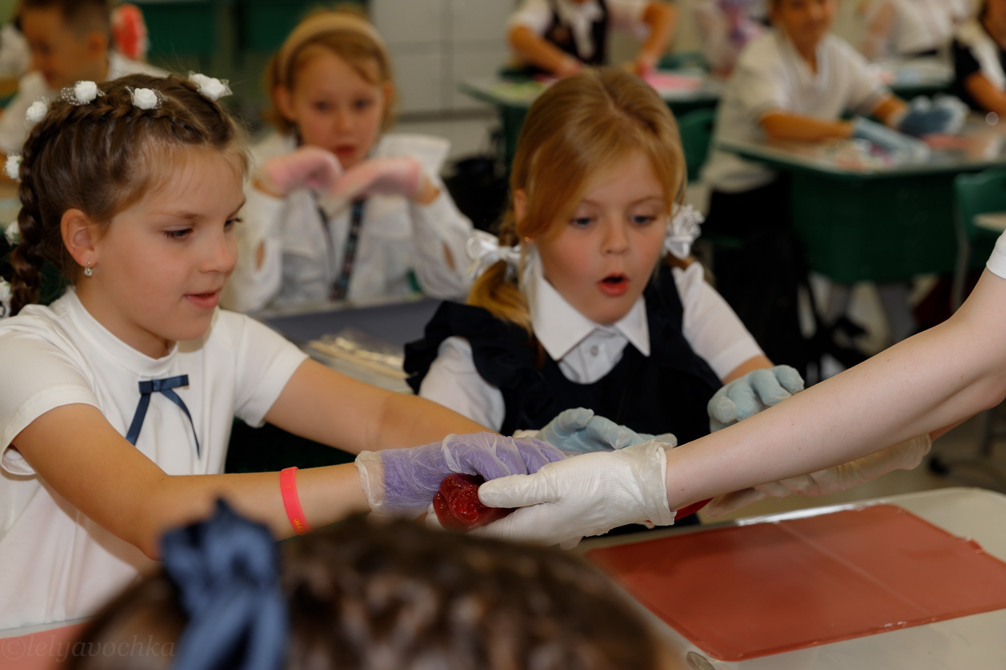Мастер-класс в школе. Счастливый фотограф Елена Лелявочка Санкт-Петербург