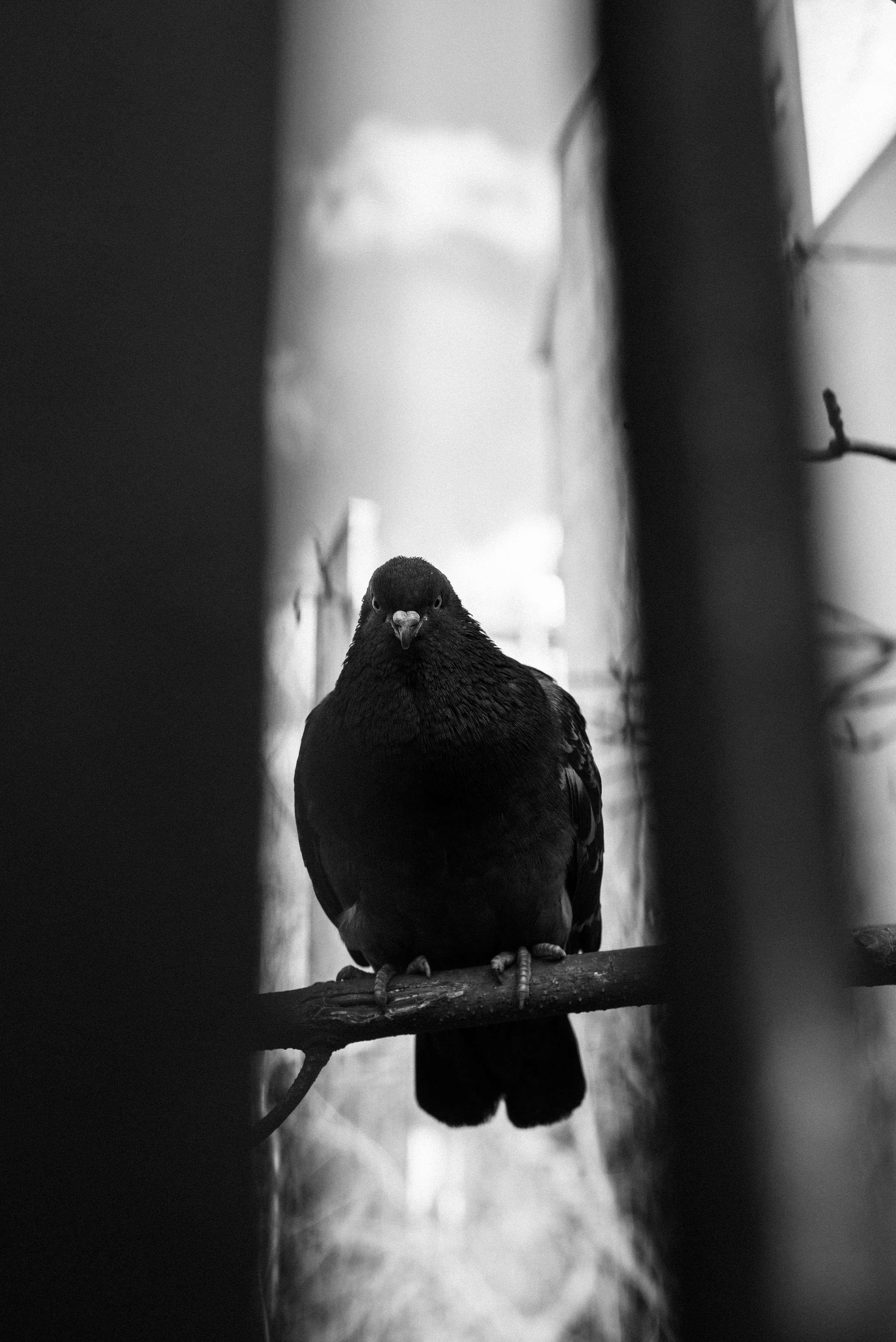 Андрей Корепов. Фотограф в Санкт-Петербурге