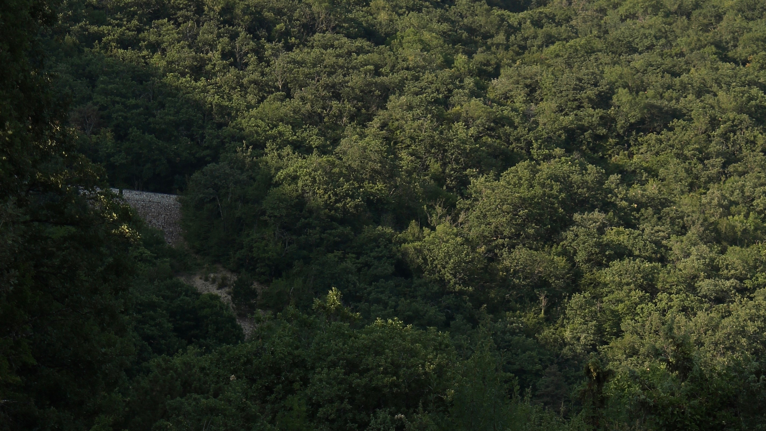 Контакты. Фотограф в городе Самара. Алёна Пинчук