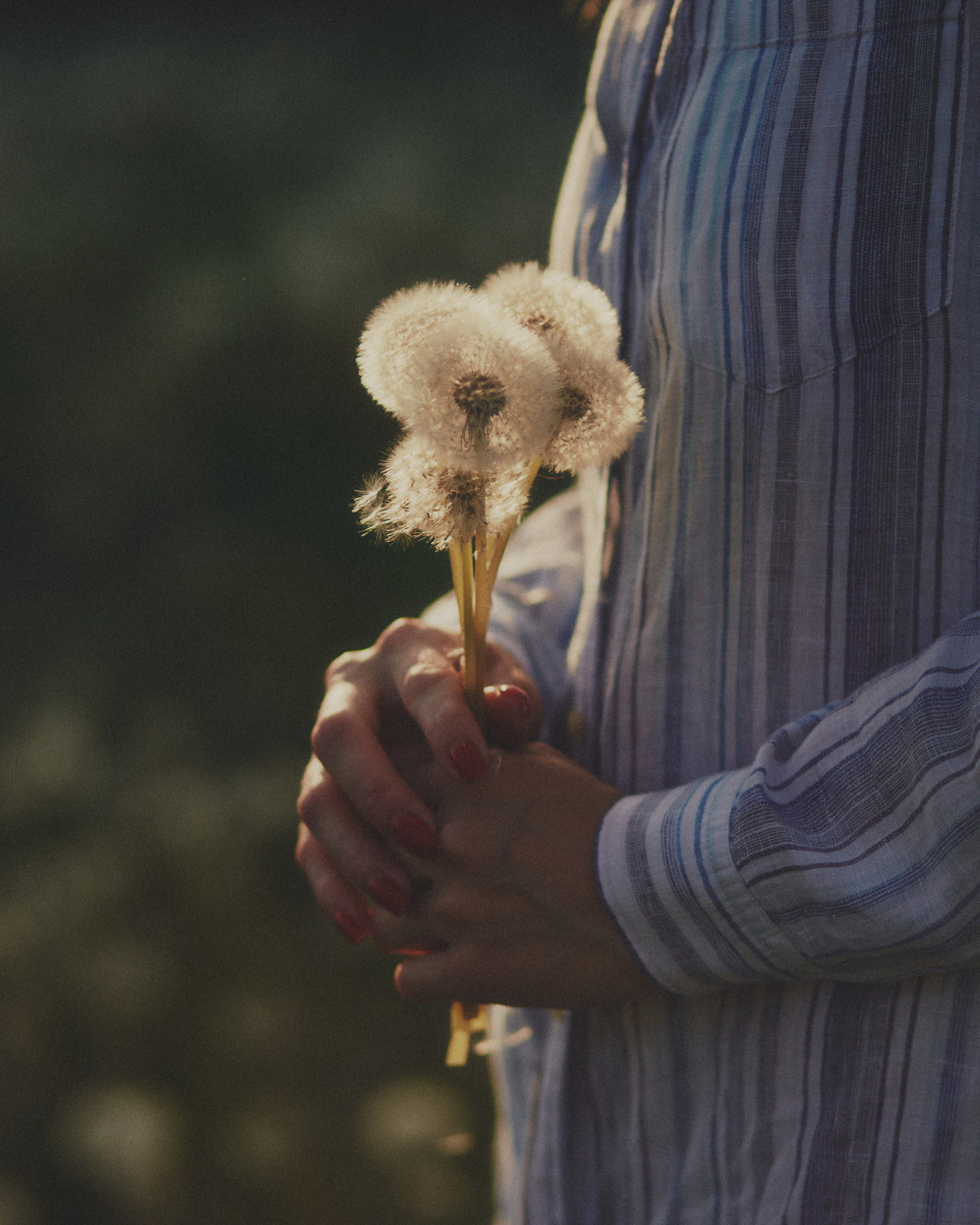 Соня. Портретный фотограф в Москве Ольга Крылова