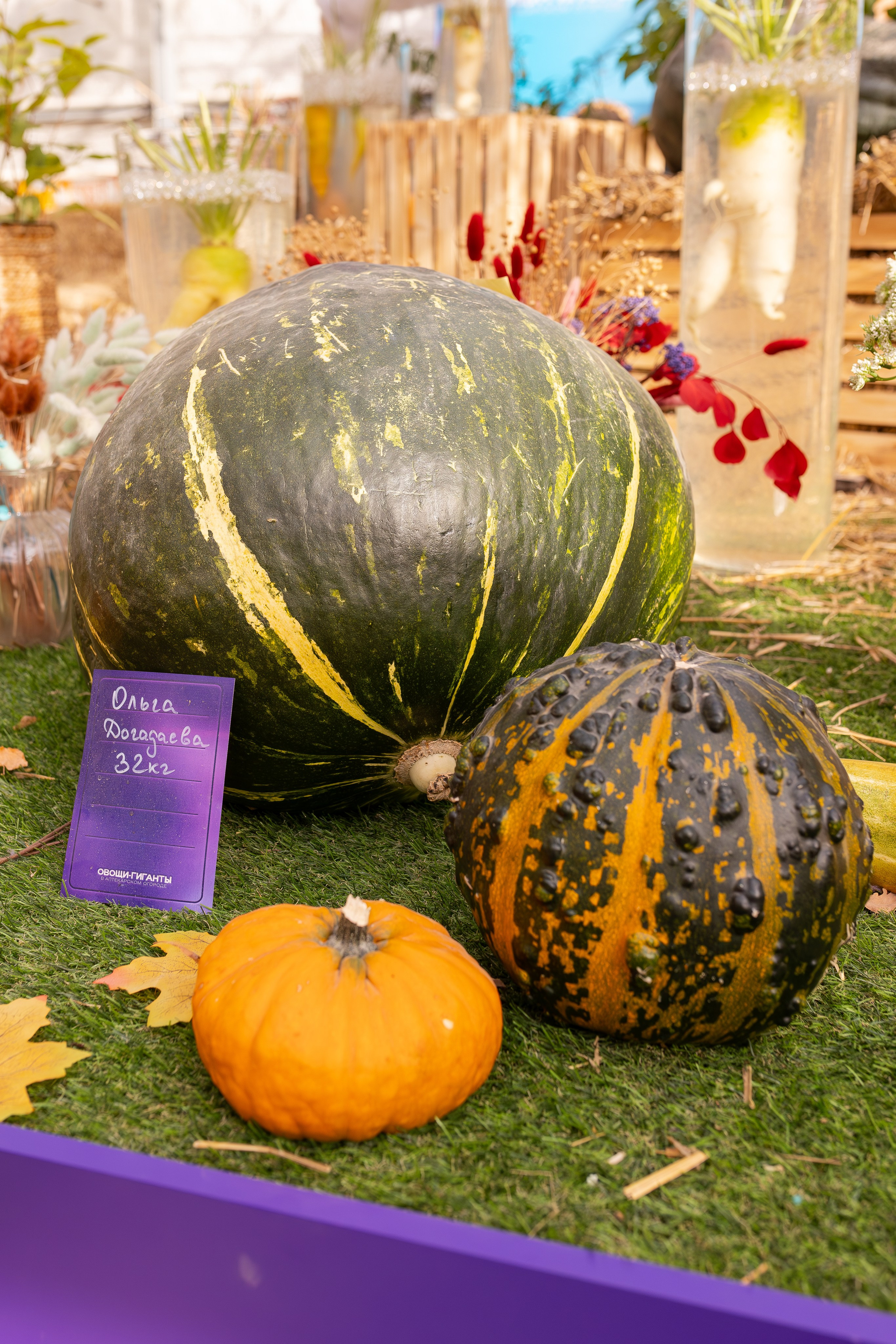 Овощи-гиганты. Александра Куликова фотограф, Москва