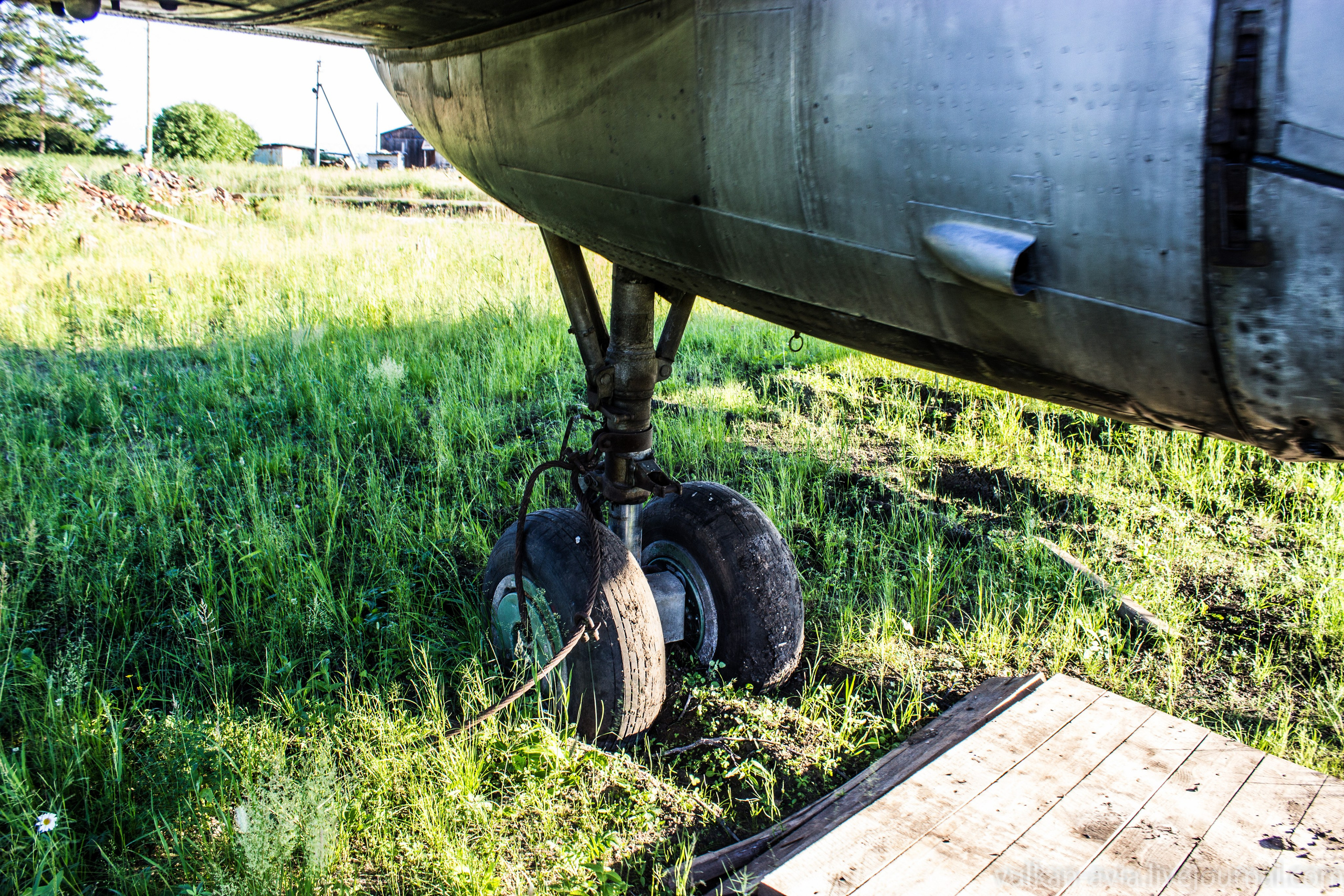 Ил-14 (Пермь, Фролы). Фотоальбом показывающий увлекательный мир авиации и мир медведей Андрея Иванова
