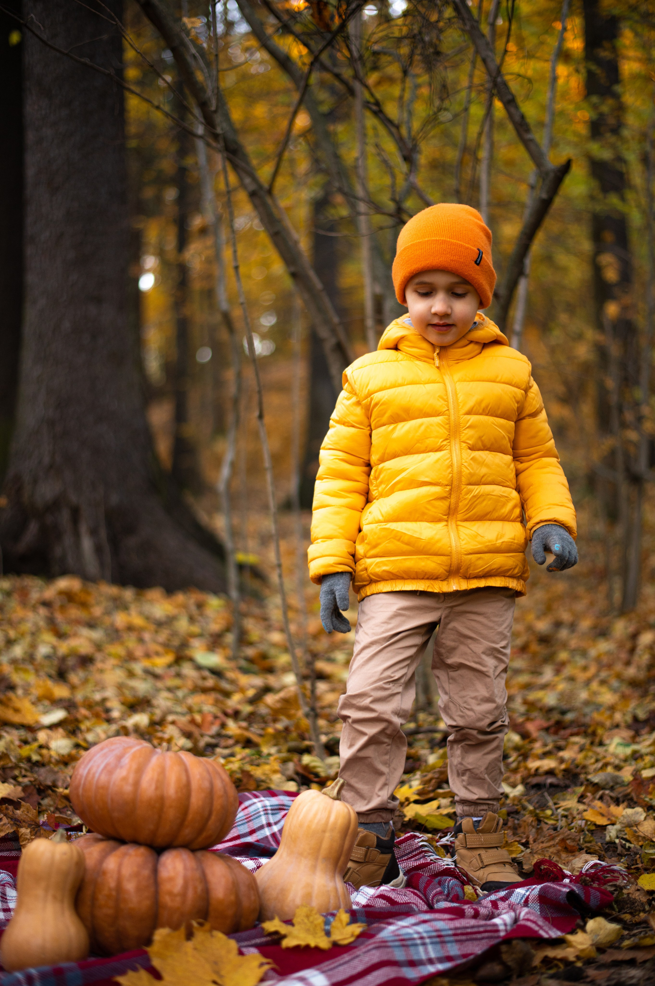 Осень в Шуваловском парке. Фотограф Санкт-Петербург | Дарья Першина