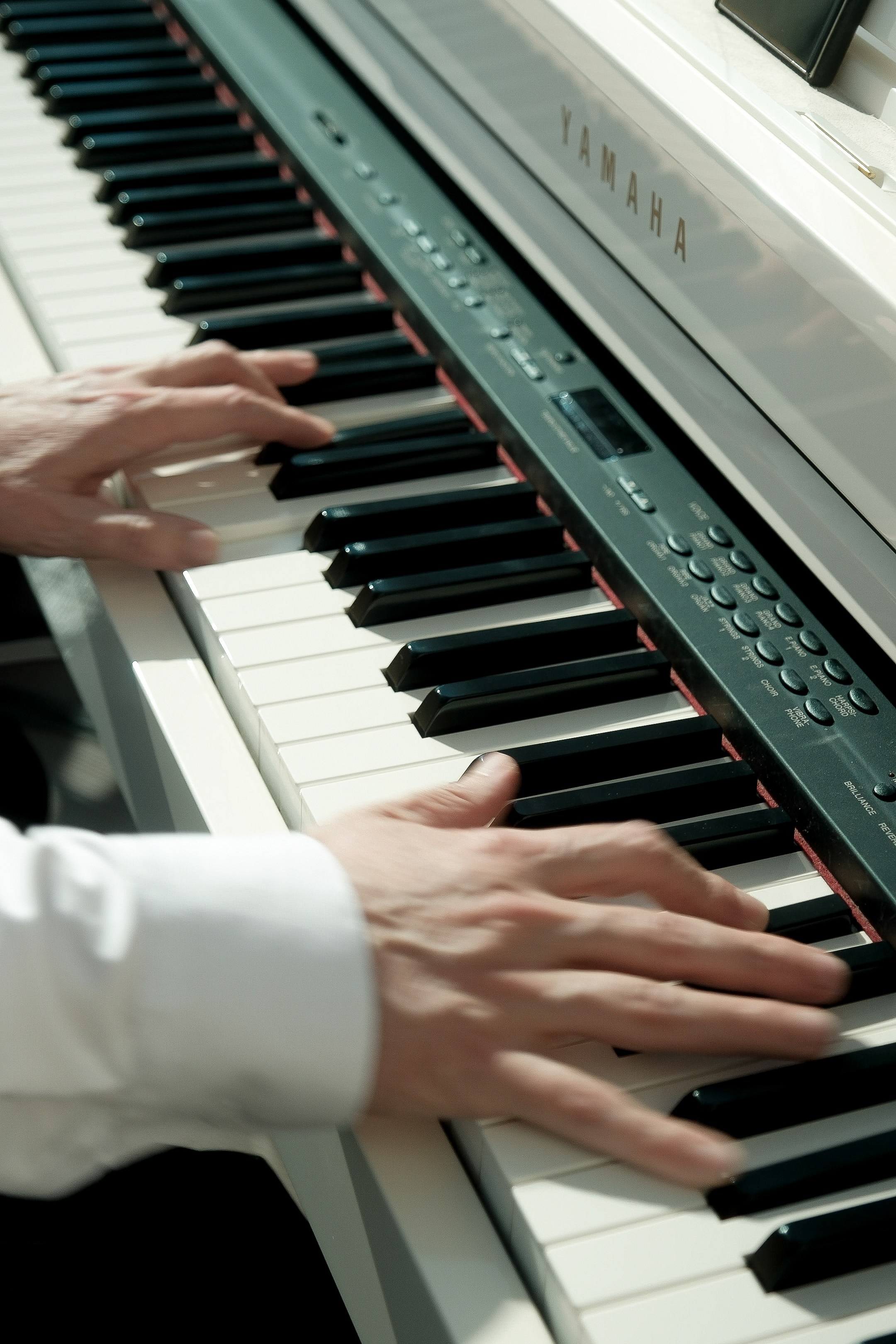 Морской. Свадебный Видеограф Фотограф в Сочи