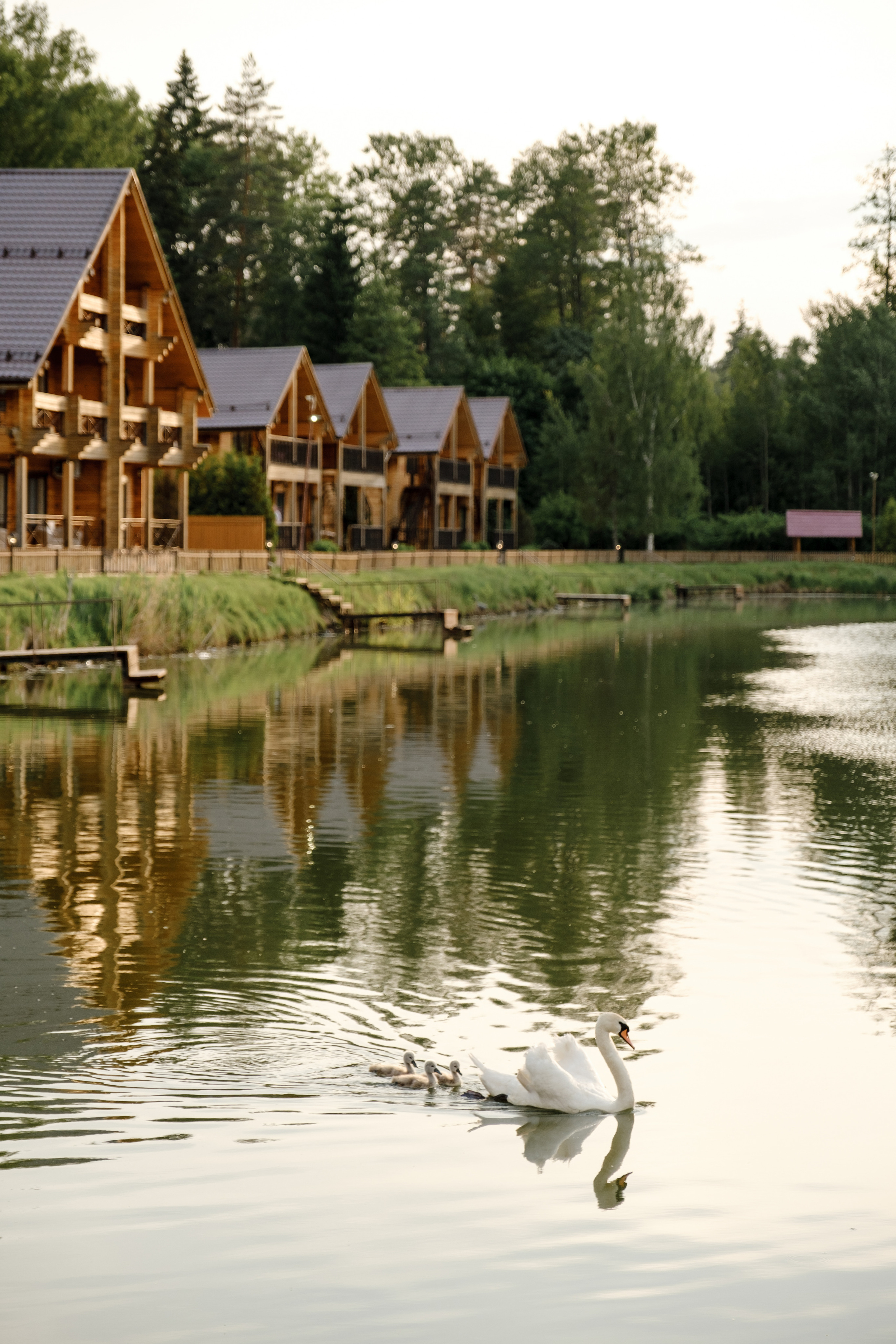 D&Y. Свадебный фотограф в Брянске Иванникова Елена