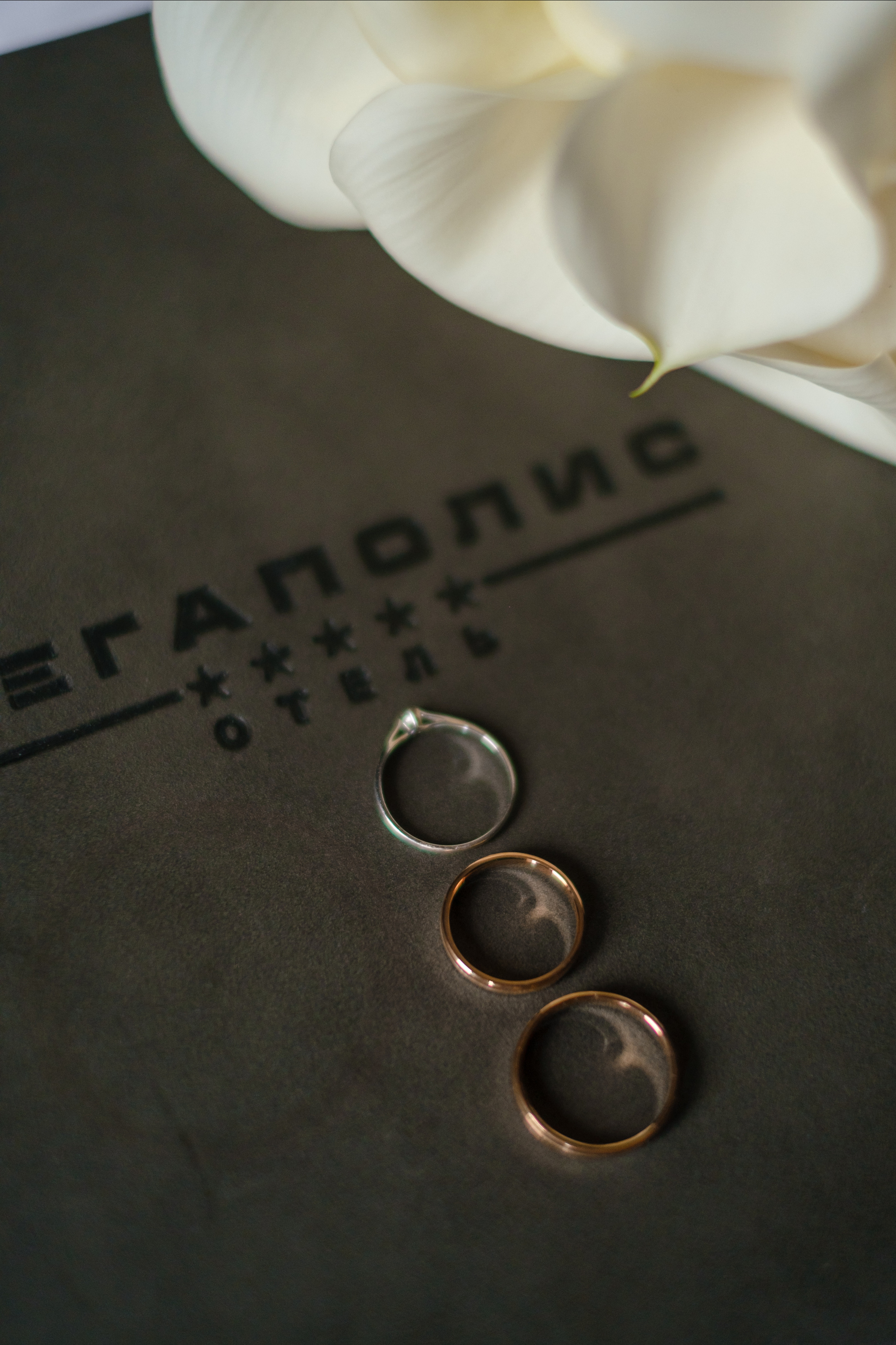 A&A. Свадебный фотограф в Брянске Иванникова Елена