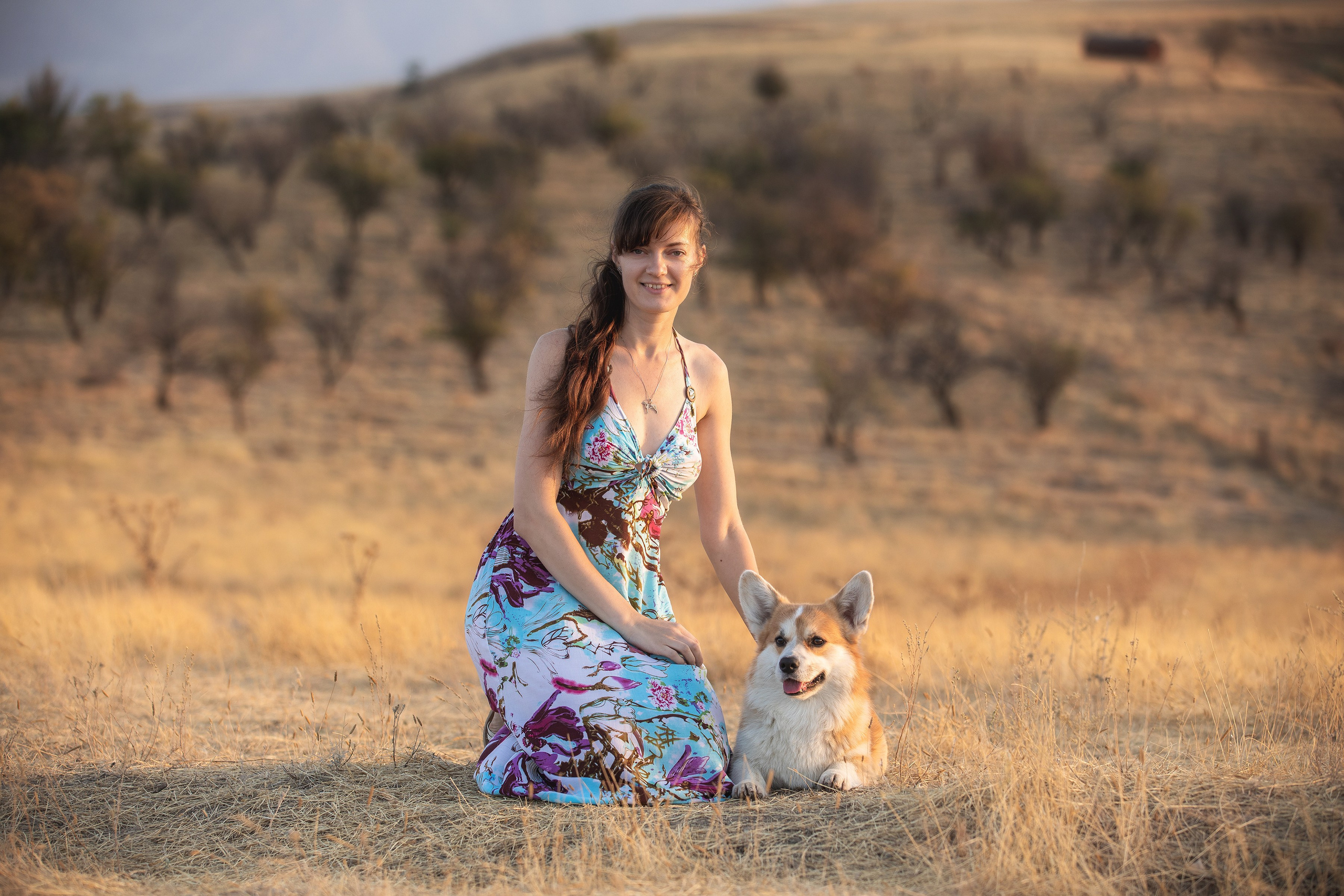 Собаки и не только. Фотограф Алена Звездина