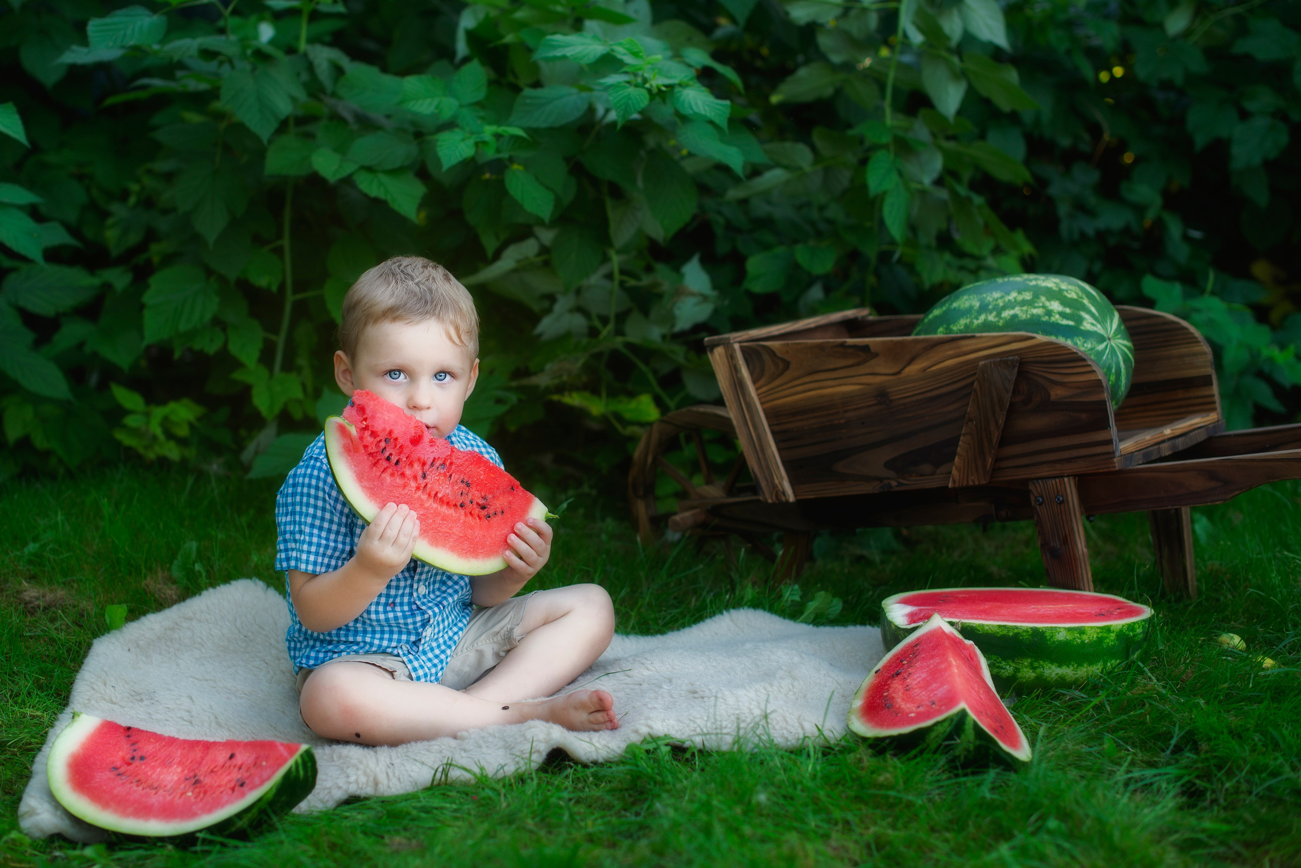 Детская фотография. Фотограф — анималист, семейный фотограф — Татьяна Рыбцева