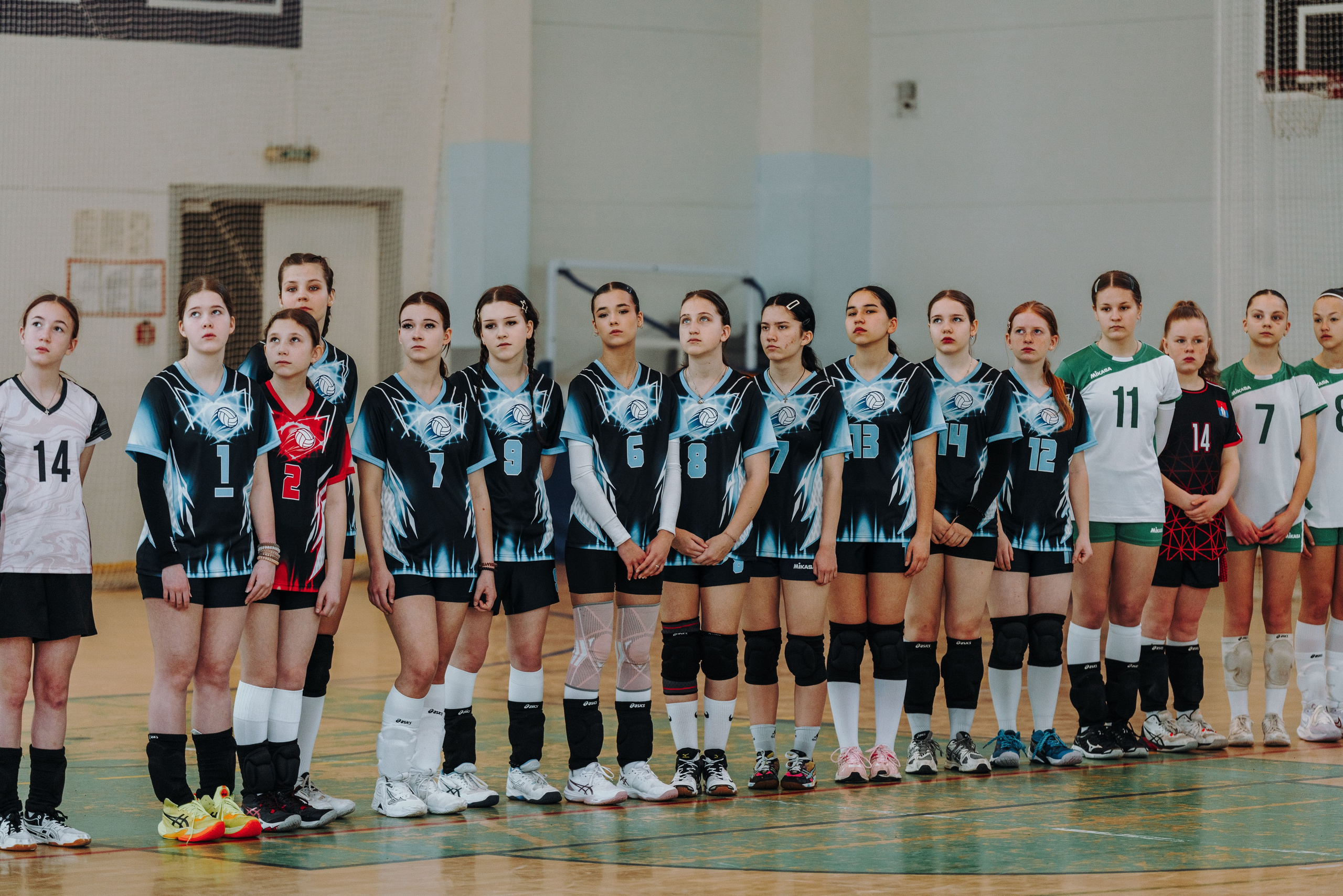 Волейбол торус. Фотограф-анималист в Санкт-Петербурге