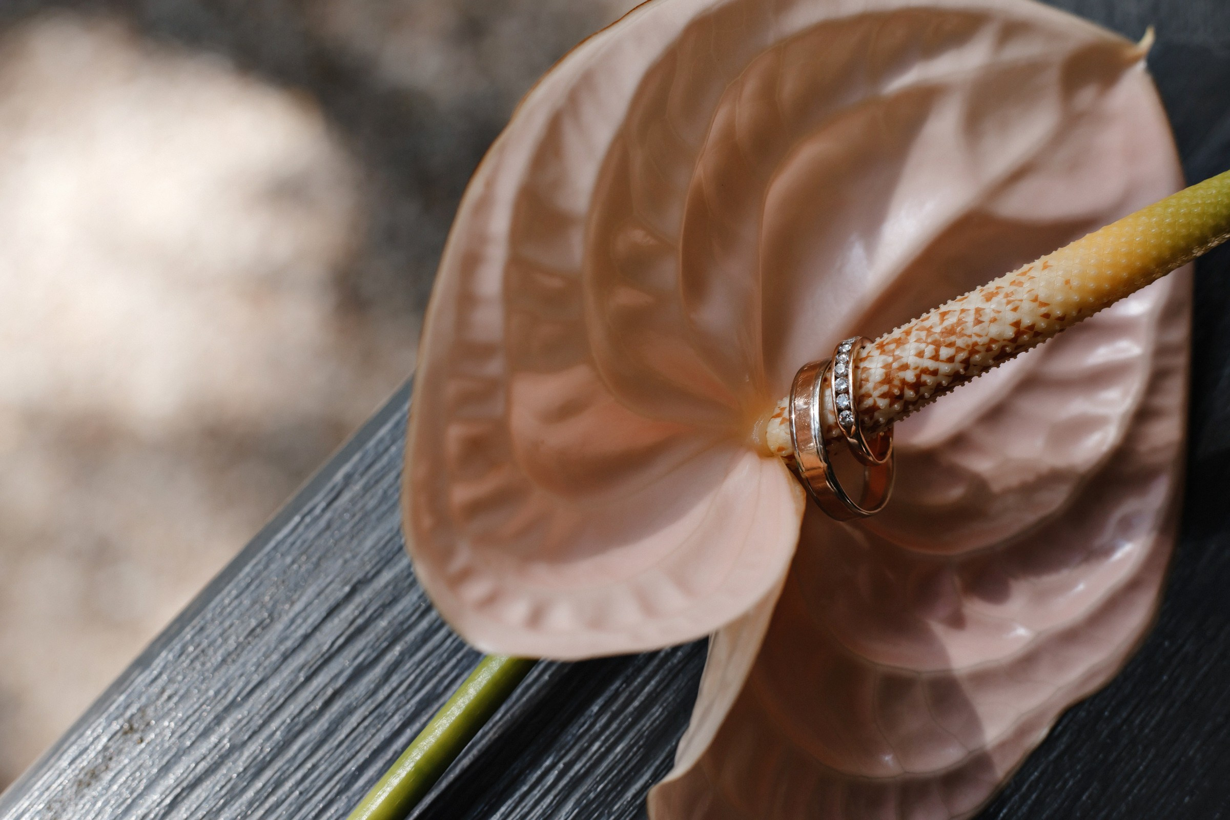 Свадебный фотограф в Нижнем Новгороде