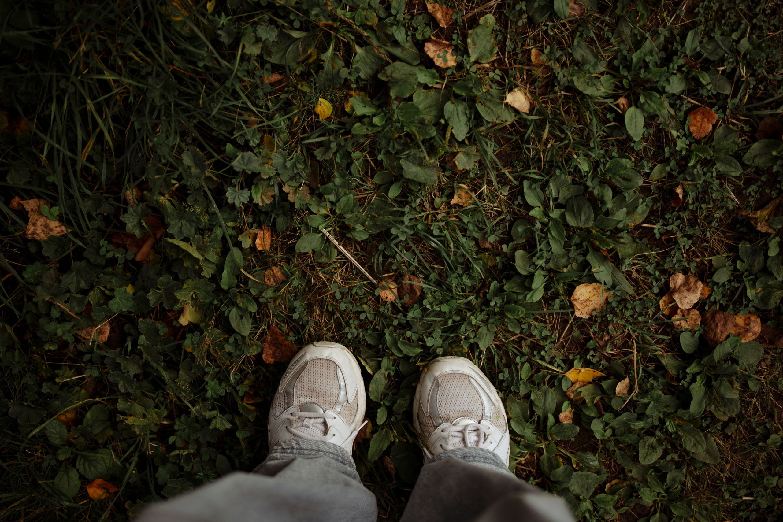 Сюжет № 12|Волкова Дарья