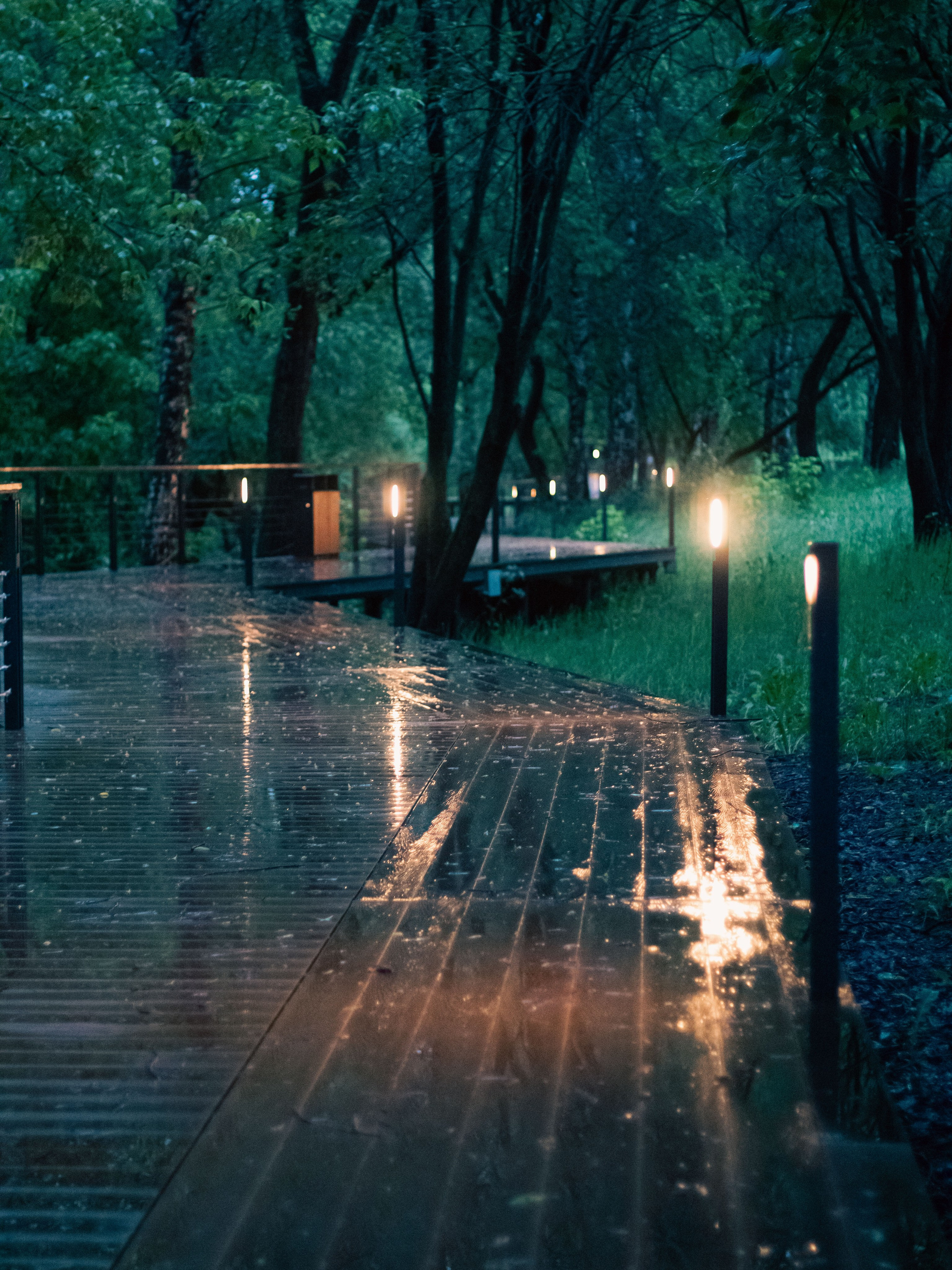 После дождя. Dmitriy [KCCC] is a pretty cool photographer