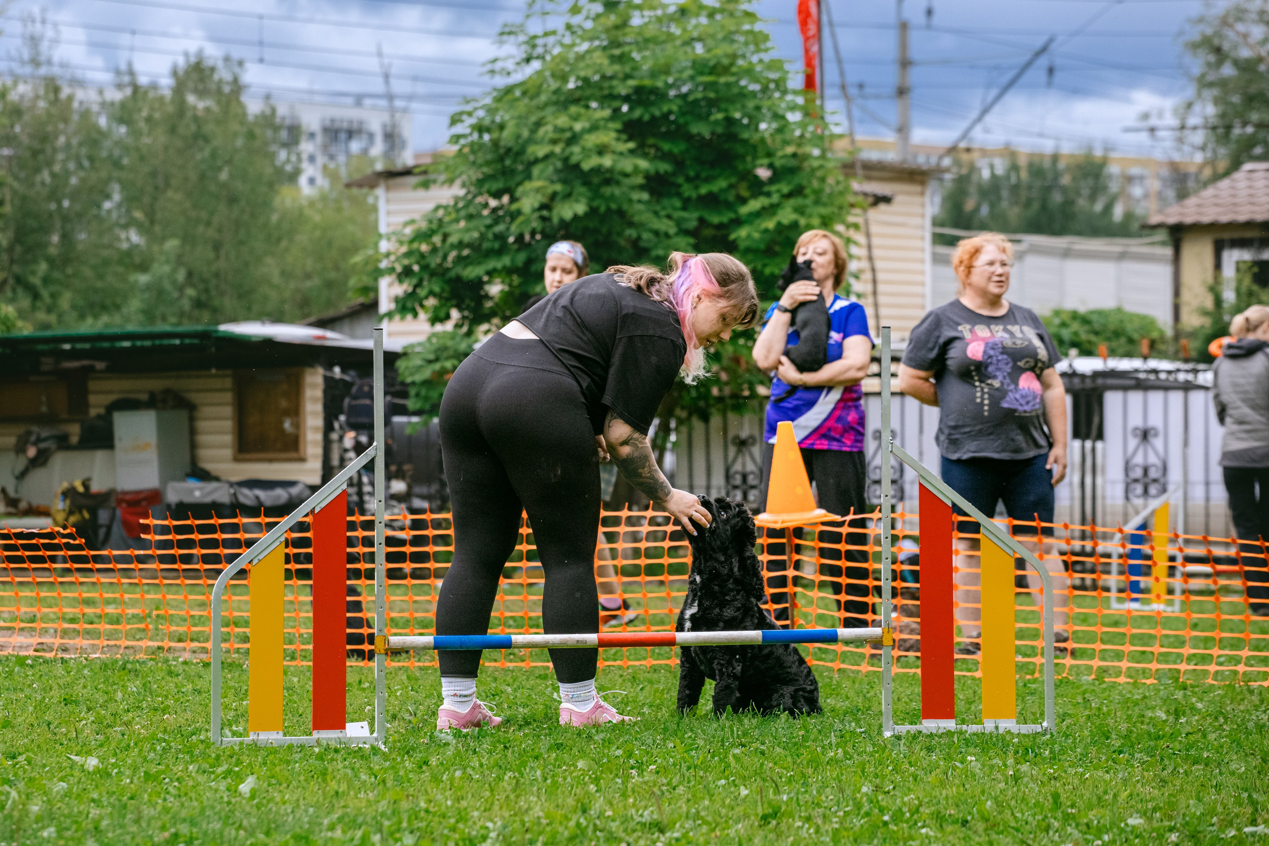 Соревнования по аджилити Долгопрудный 30.06.2025. Фотограф-анималист Татьяна Степанова