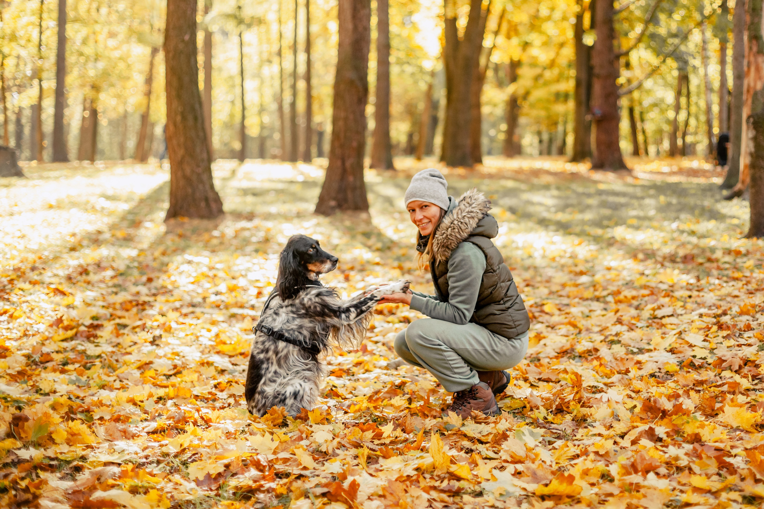 Света, Хайди, Богдана. Фотограф-анималист Татьяна Степанова