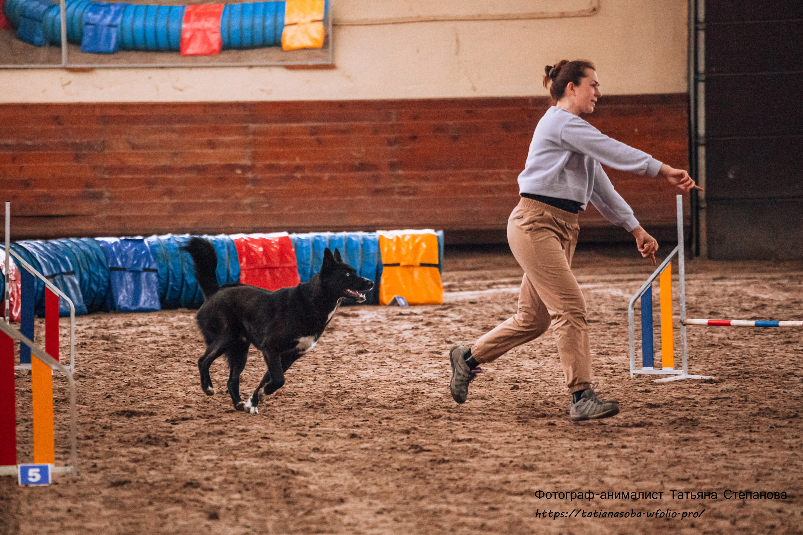 Соревнования по Аджилити 25.02.2024. Фотограф-анималист Татьяна Степанова