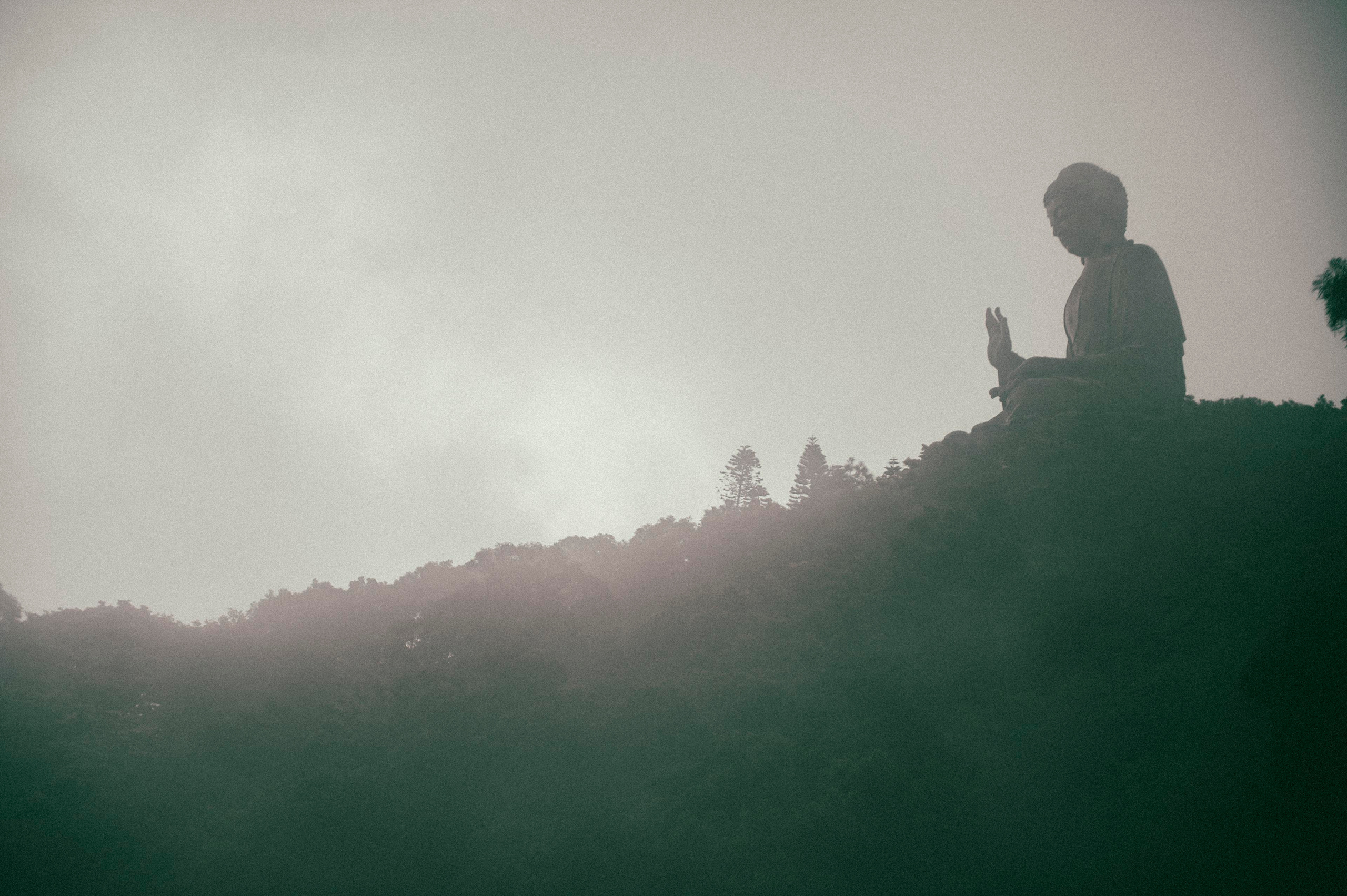 Жизнь. Профессиональный фотограф Кирилл Зайцев