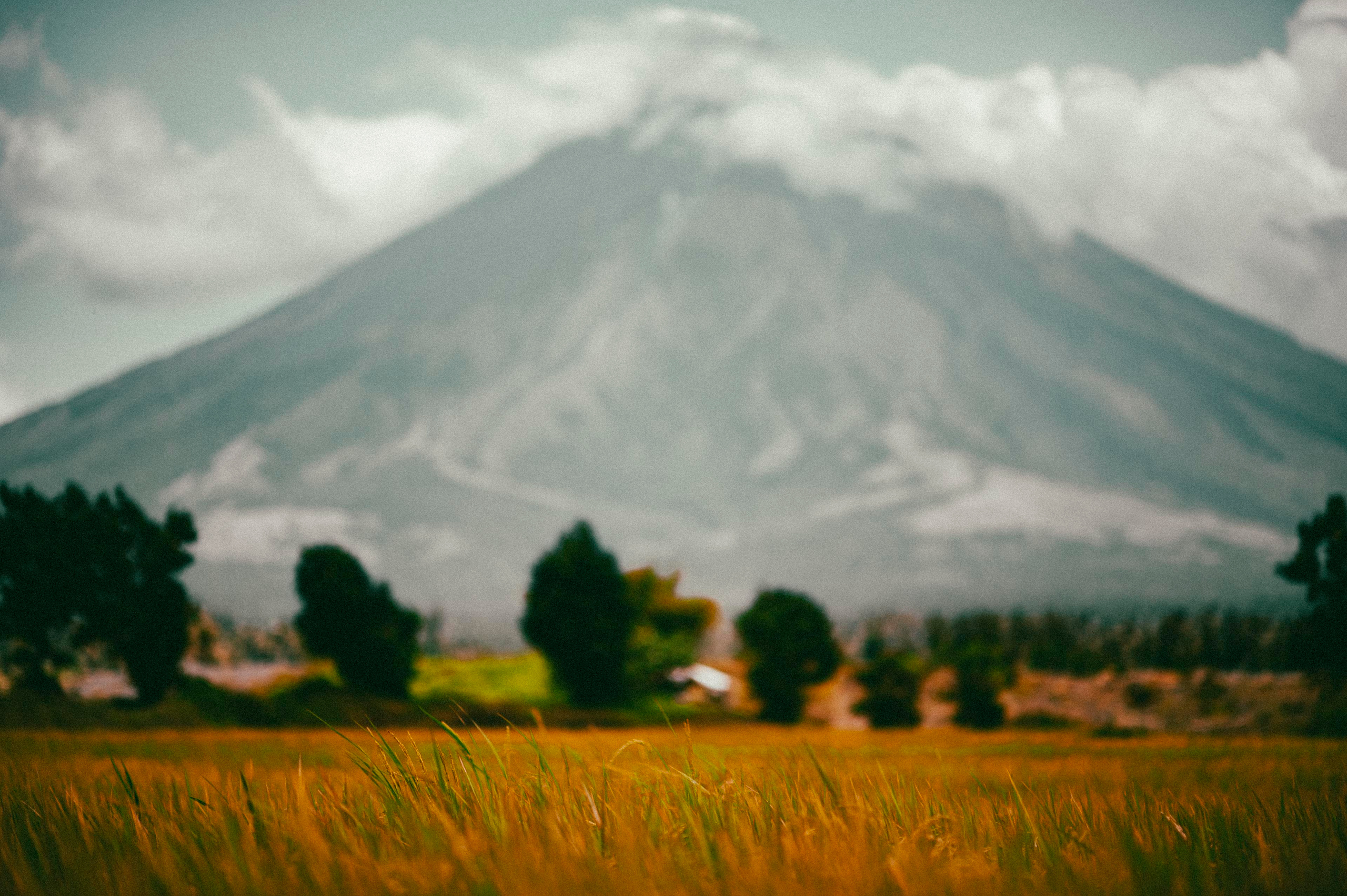 Жизнь. Профессиональный фотограф Кирилл Зайцев
