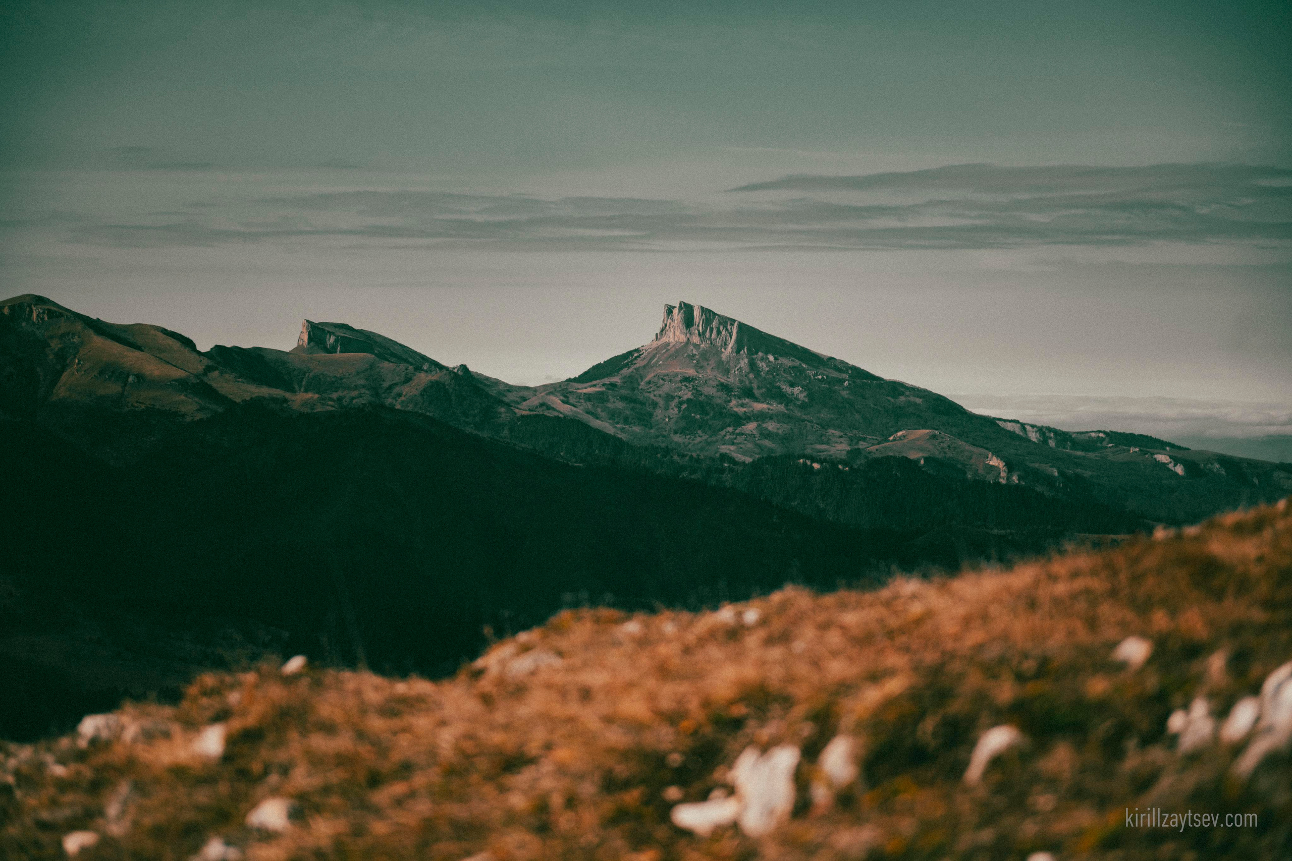 Жизнь. Профессиональный фотограф Кирилл Зайцев