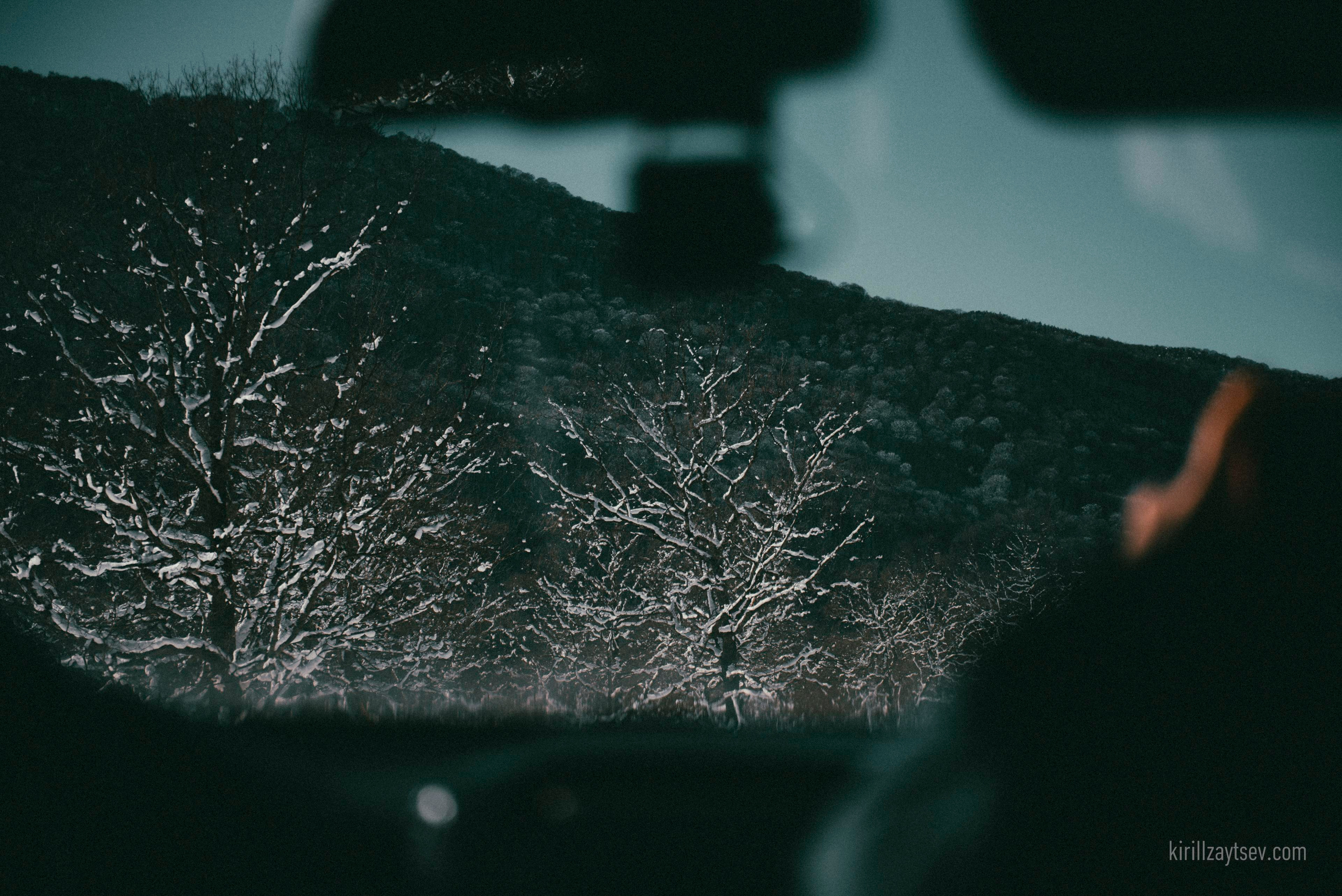 Жизнь. Профессиональный фотограф Кирилл Зайцев