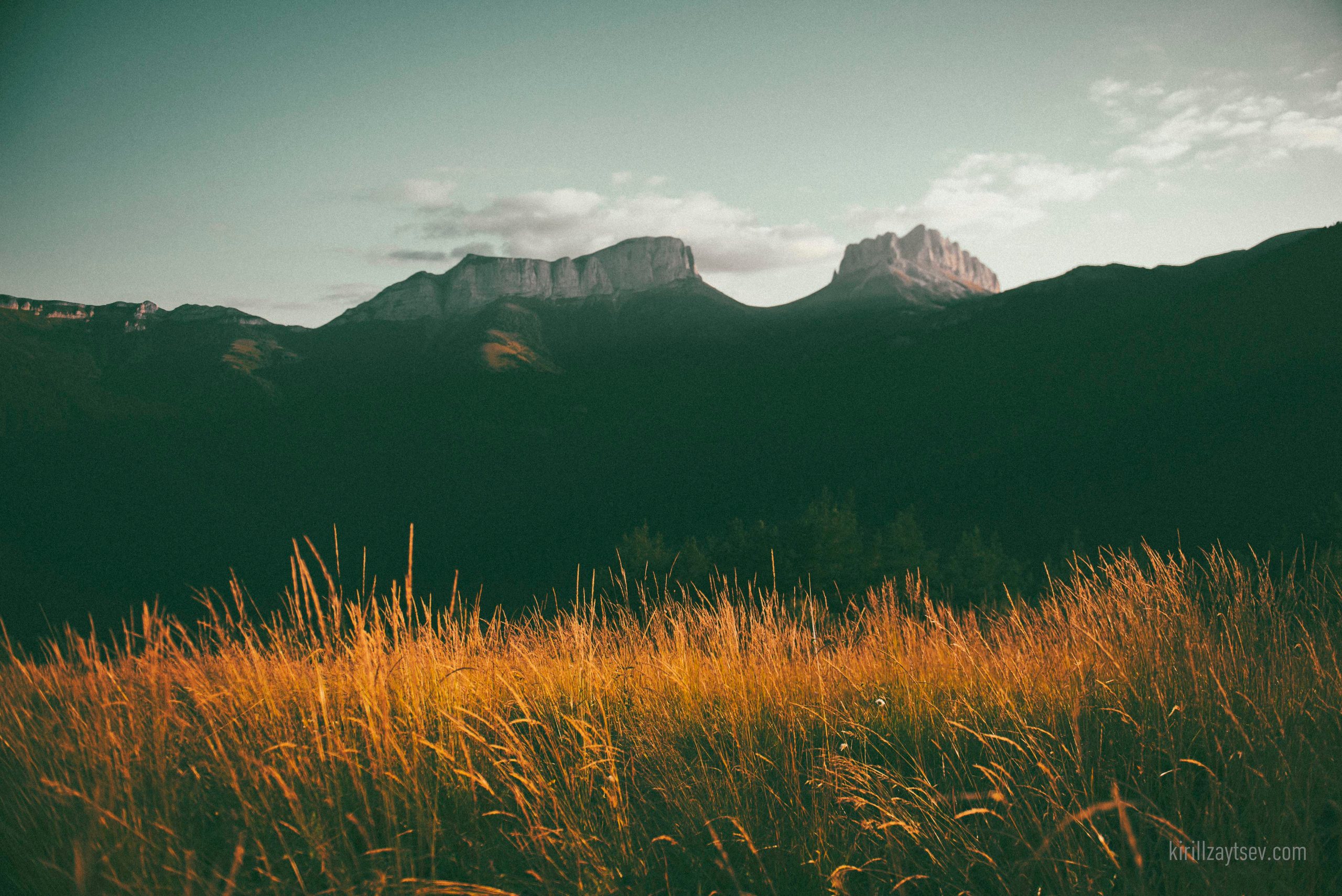 Жизнь. Профессиональный фотограф Кирилл Зайцев