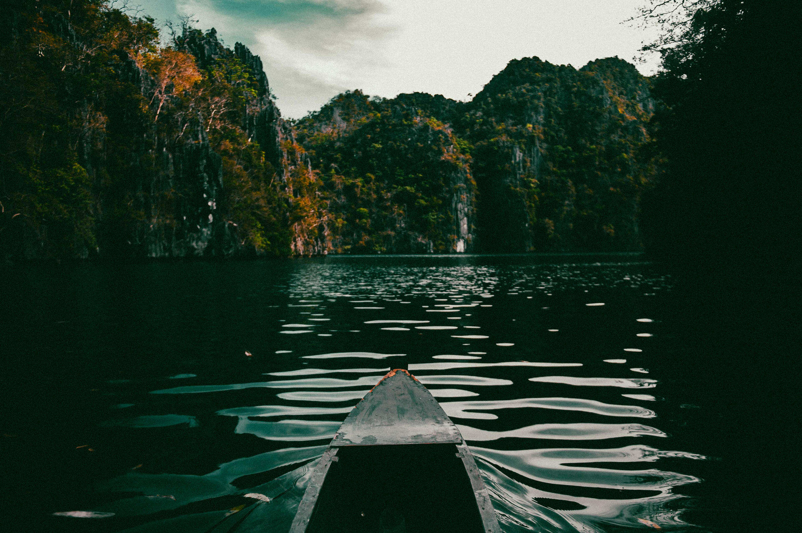 Жизнь. Профессиональный фотограф Кирилл Зайцев